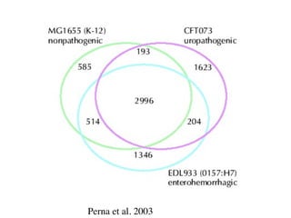 Phylogenomics and the diversity and diversification of microbes | KEY