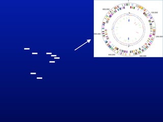 Phylogenomics and the diversity and diversification of microbes | KEY