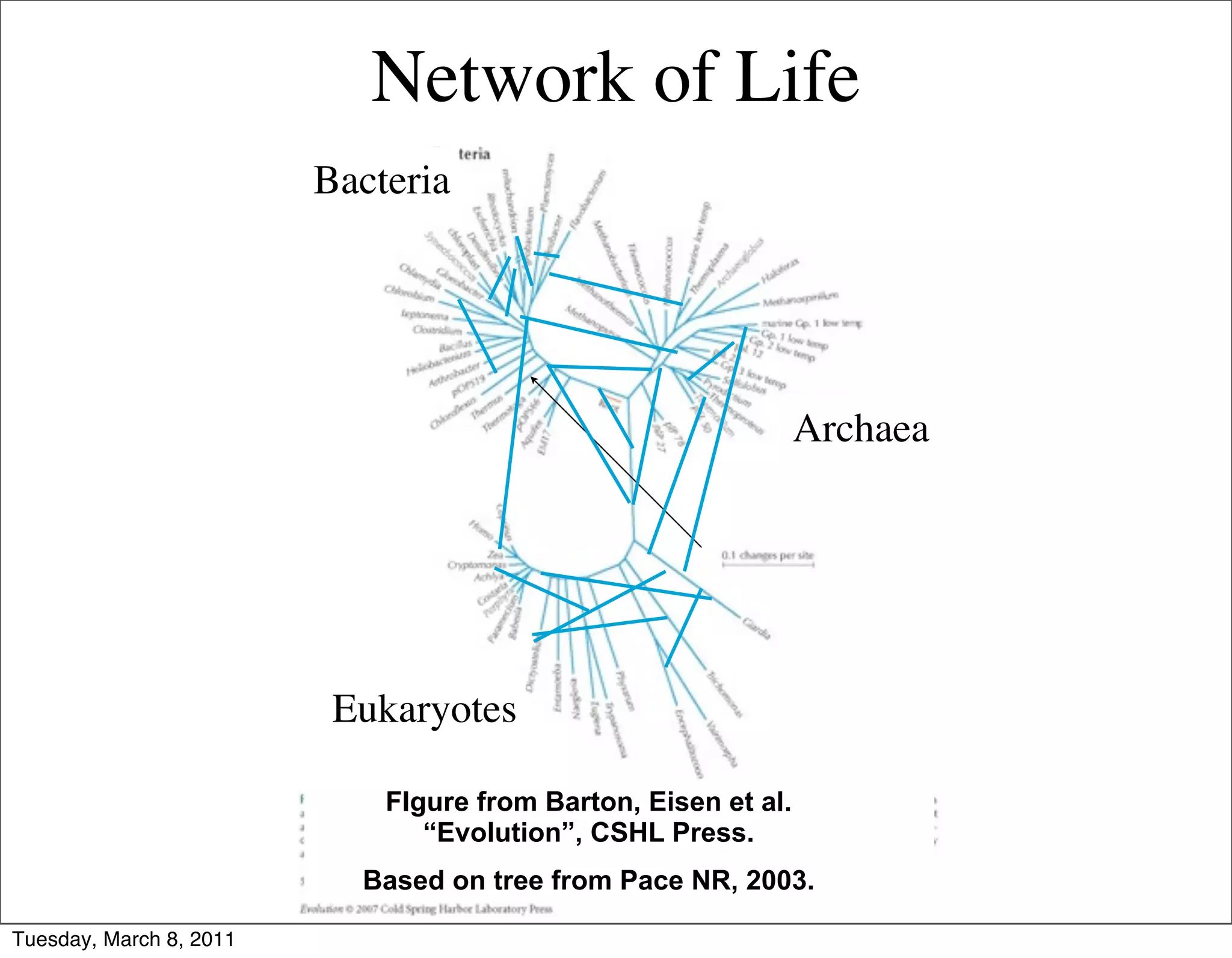 Network of Life
                         Bacteria




                                                                Archaea




                          Eukaryotes

                             FIgure from Barton, Eisen et al.
                                “Evolution”, CSHL Press.
                           Based on tree from Pace NR, 2003.

Tuesday, March 8, 2011
 
