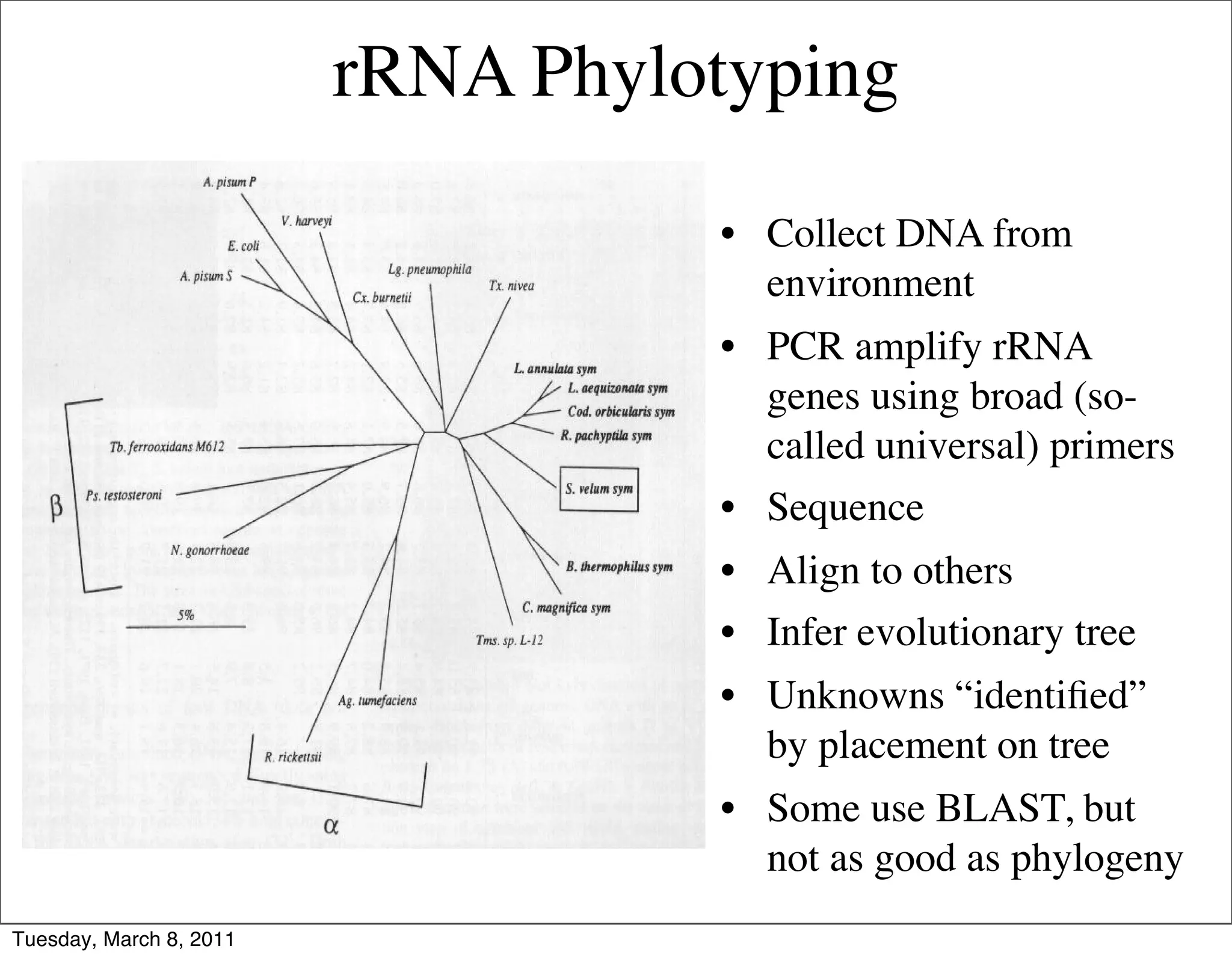rRNA Phylotyping

                                   • Collect DNA from
                                     environment
                                   • PCR amplify rRNA
                                     genes using broad (so-
                                     called universal) primers
                                   • Sequence
                                   • Align to others
                                   • Infer evolutionary tree
                                   • Unknowns “identiﬁed”
                                     by placement on tree
                                   • Some use BLAST, but
                                     not as good as phylogeny
Tuesday, March 8, 2011
 
