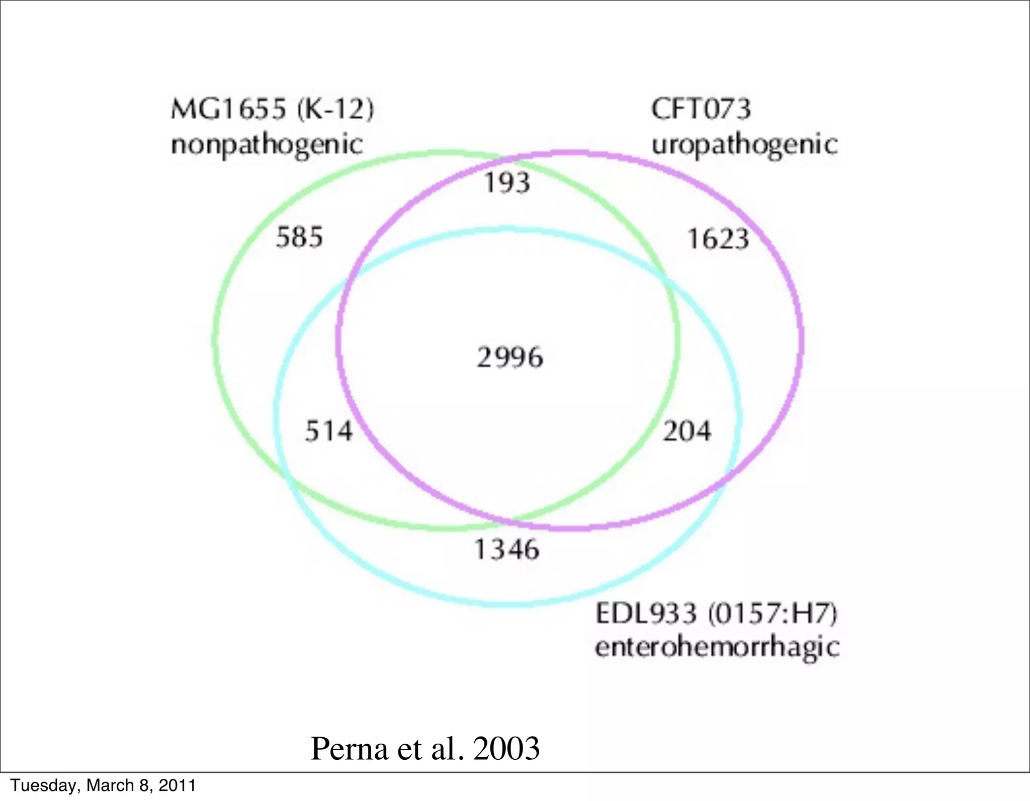 Perna et al. 2003
Tuesday, March 8, 2011
 