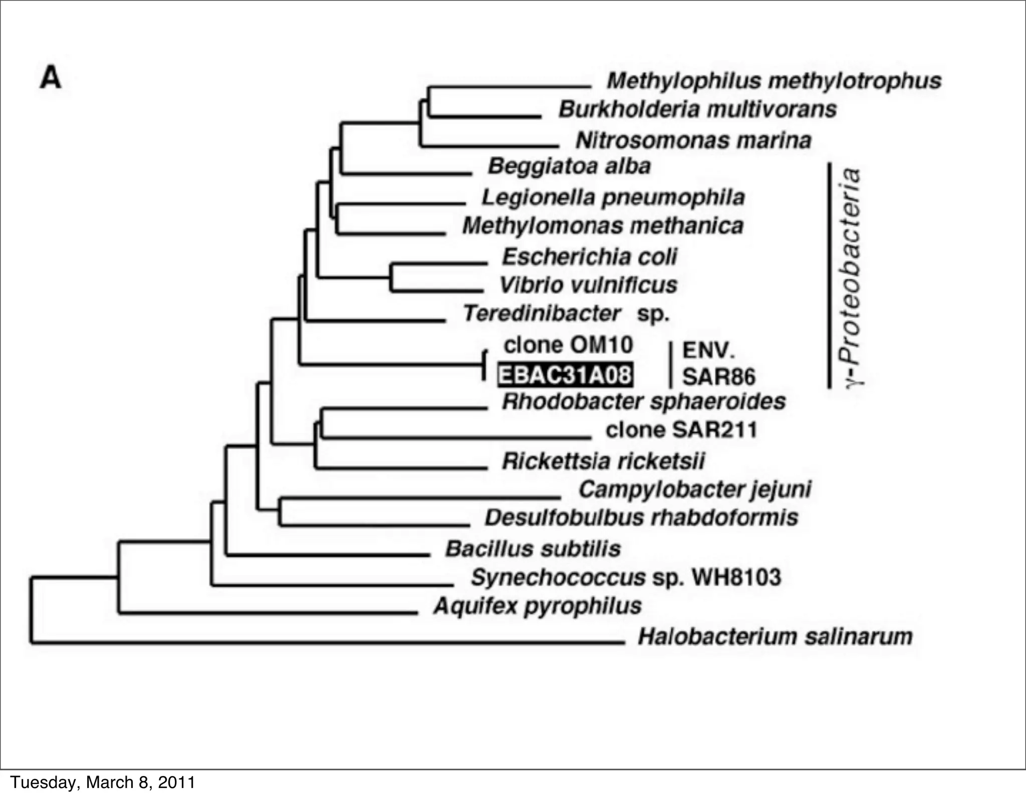 Tuesday, March 8, 2011
 