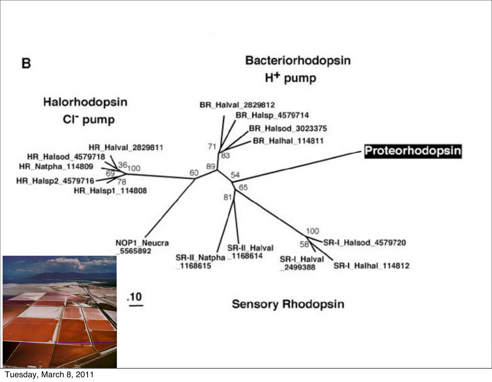 Tuesday, March 8, 2011
 