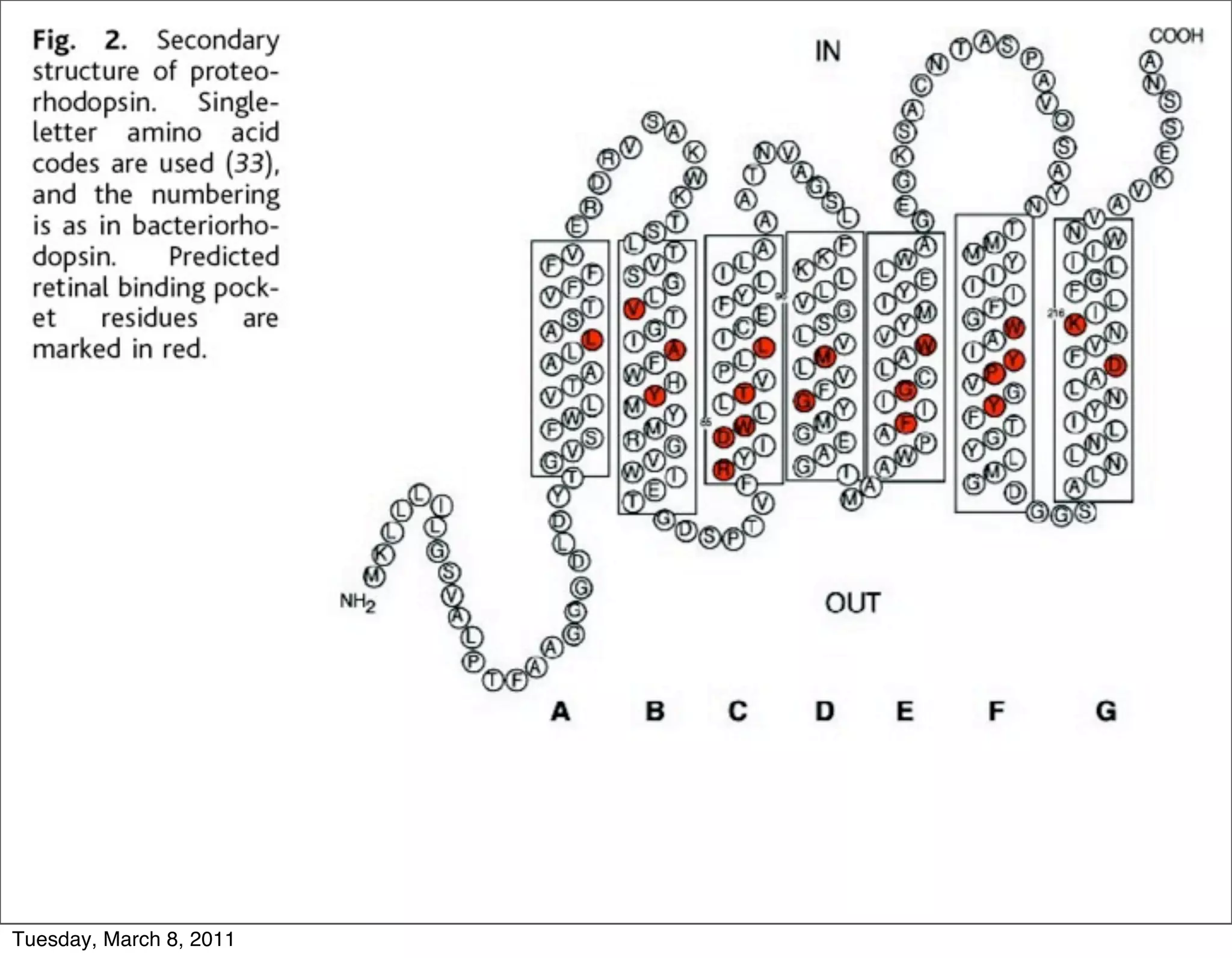 Tuesday, March 8, 2011
 