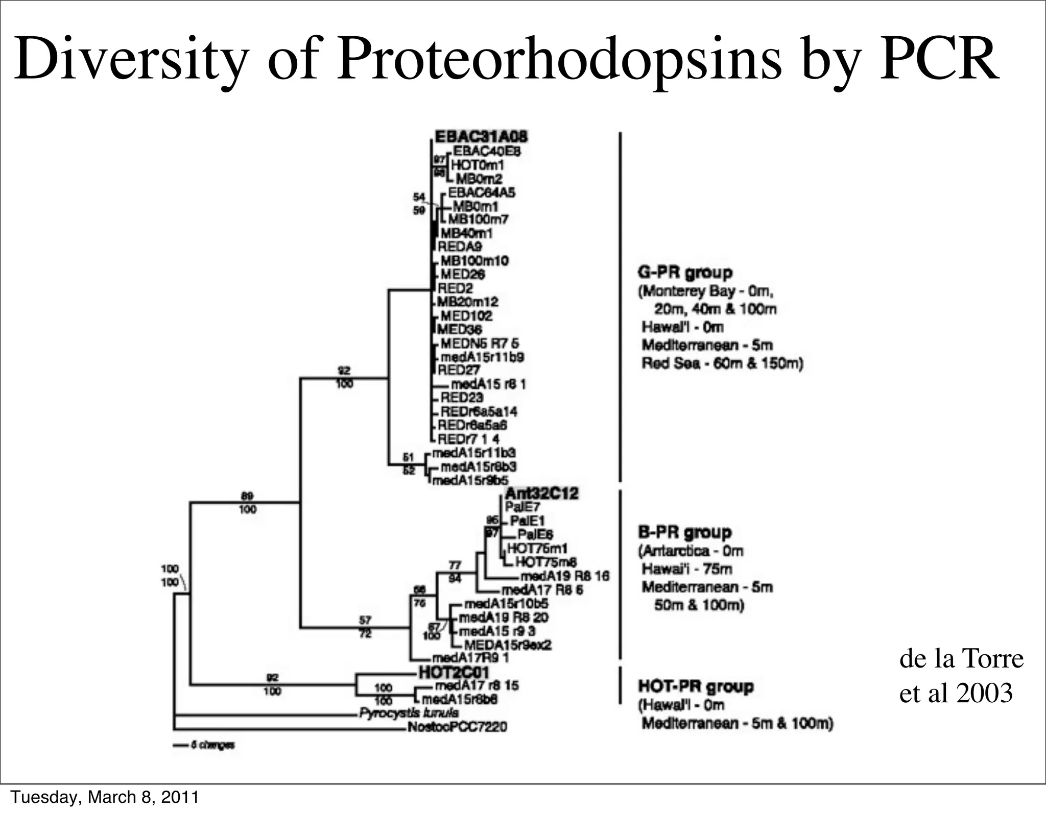 Diversity of Proteorhodopsins by PCR




                                de la Torre
                                et al 2003


Tuesday, March 8, 2011
 