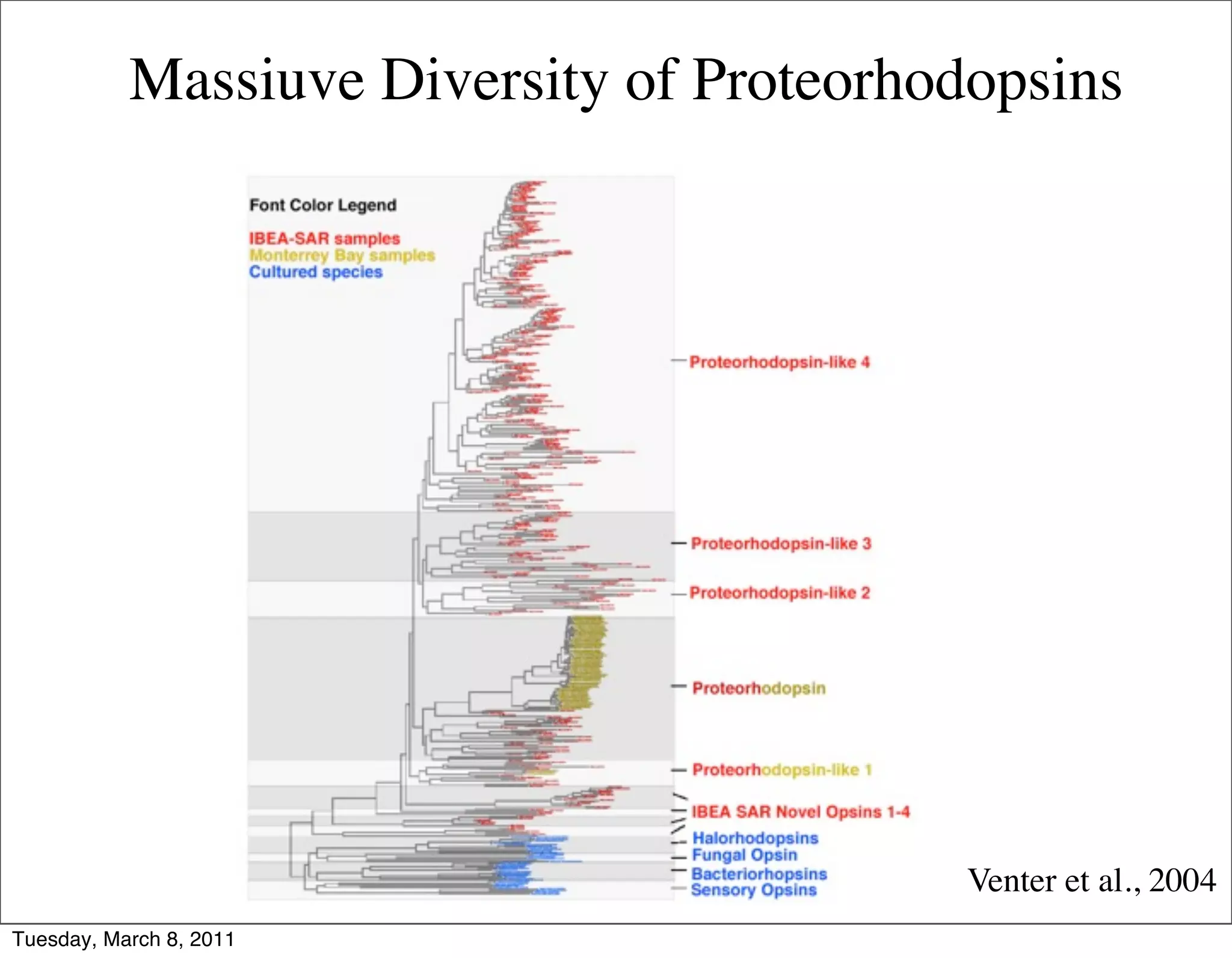 Massiuve Diversity of Proteorhodopsins




                                           Venter et al., 2004
Tuesday, March 8, 2011
 