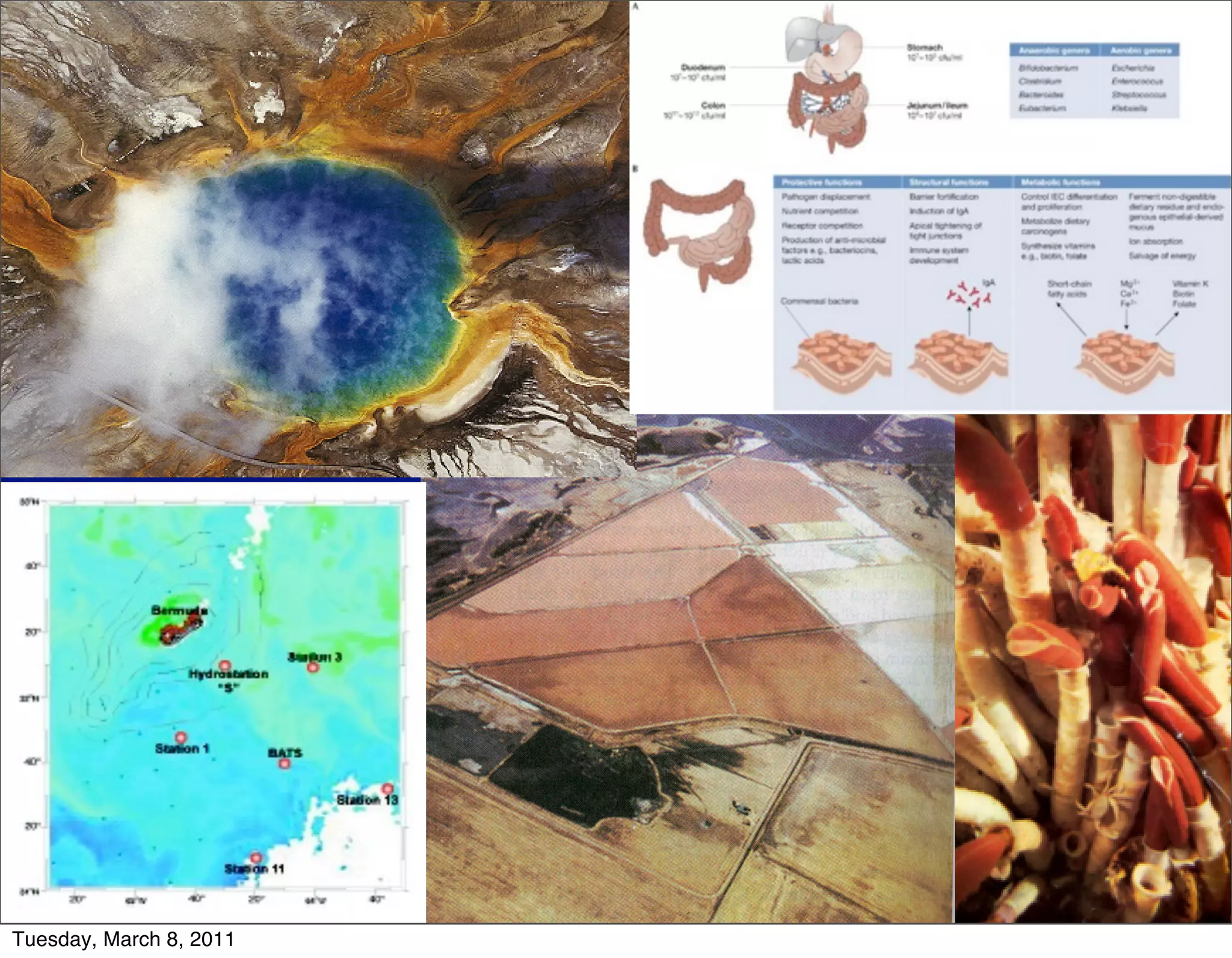 Tuesday, March 8, 2011
 