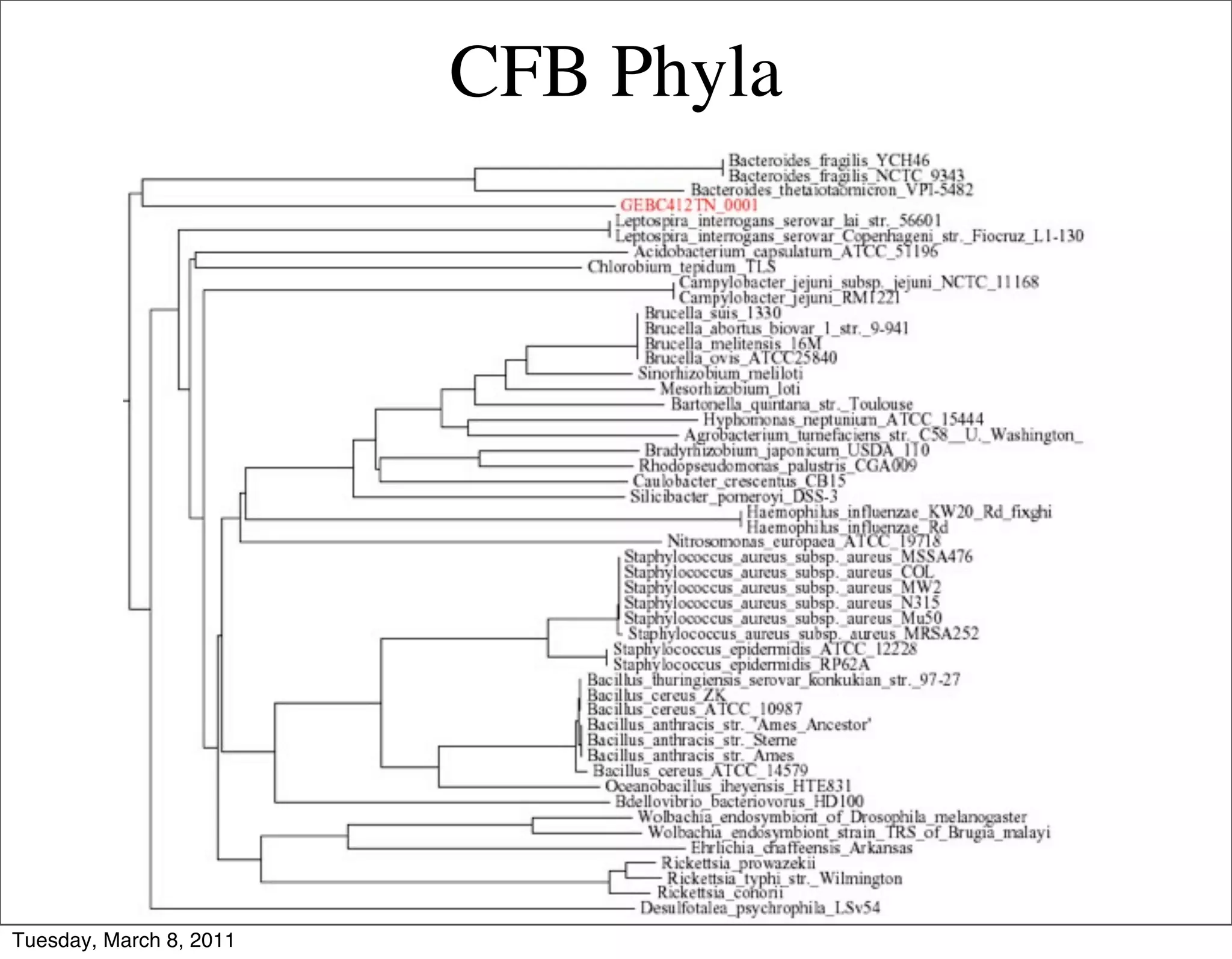 CFB Phyla




Tuesday, March 8, 2011
 
