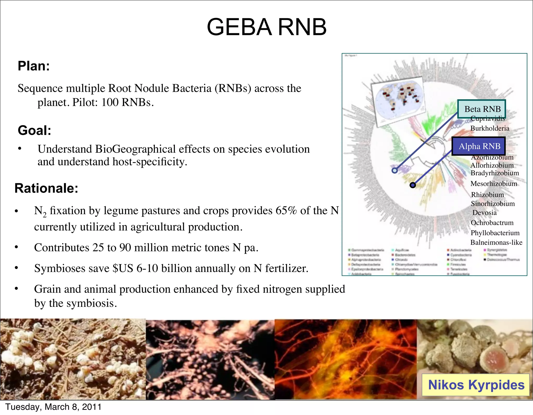 GEBA RNB
  Plan:
  Sequence multiple Root Nodule Bacteria (RNBs) across the
     planet. Pilot: 100 RNBs.                                               Beta RNB
                                                                             Cupriavidis
  Goal:                                                                      Burkholderia

  •    Understand BioGeographical effects on species evolution             Alpha RNB
                                                                             Azorhizobium
       and understand host-speciﬁcity.                                       Allorhizobium
                                                                             Bradyrhizobium
                                                                             Mesorhizobium
  Rationale:                                                                 Rhizobium
                                                                             Sinorhizobium
  •   N2 ﬁxation by legume pastures and crops provides 65% of the N          Devosia
                                                                             Ochrobactrum
      currently utilized in agricultural production.                         Phyllobacterium
                                                                             Balneimonas-like
  •   Contributes 25 to 90 million metric tones N pa.
  •   Symbioses save $US 6-10 billion annually on N fertilizer.
  •   Grain and animal production enhanced by ﬁxed nitrogen supplied
      by the symbiosis.




                                                                       Nikos Kyrpides
                                                                                   135
Tuesday, March 8, 2011
 
