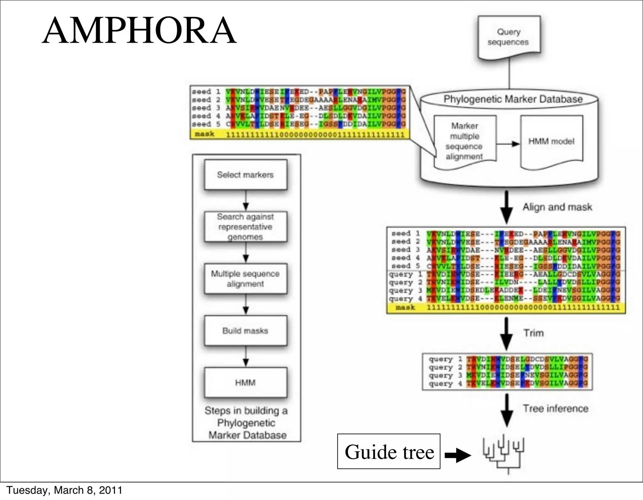 AMPHORA




                         Guide tree
Tuesday, March 8, 2011
 