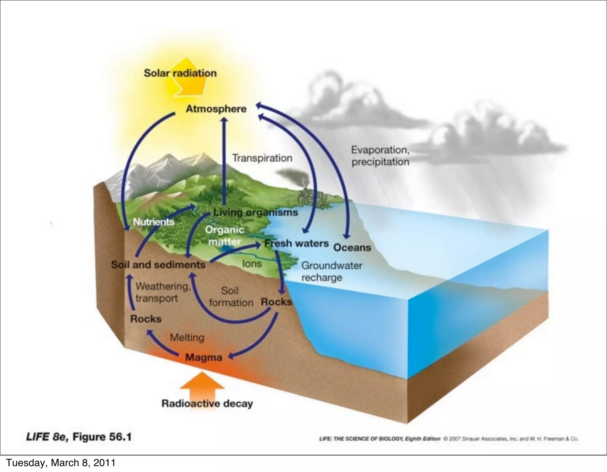 Tuesday, March 8, 2011
 