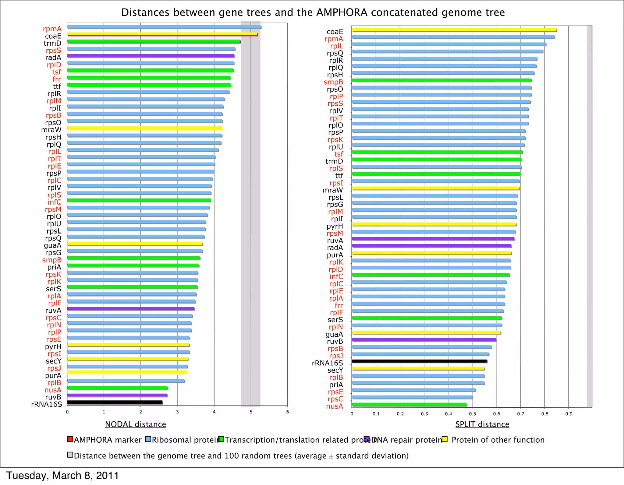 Distances between gene trees and the AMPHORA concatenated genome tree
       rpmA                                                                            coaE
        coaE                                                                          rpmA
       trmD                                                                              rplL
        rpsS                                                                           rpsQ
        radA                                                                            rplR
         rplD                                                                           rplQ
           tsf                                                                         rpsH
           frr                                                                        smpB
            ttf                                                                        rpsO
         rplR                                                                            rplP
         rplM                                                                          rpsS
          rplI                                                                          rplV
        rpsB                                                                             rplT
        rpsO                                                                            rplO
      mraW                                                                              rpsP
        rpsH                                                                           rpsK
         rplQ                                                                           rplU
          rplL                                                                             tsf
          rplT                                                                        trmD
         rplE                                                                           rplS
         rpsP                                                                              ttf
         rplC                                                                           rpsI
         rplV                                                                         mraW
         rplS                                                                           rpsL
         infC                                                                          rpsG
        rpsM                                                                            rplM
         rplO                                                                             rplI
         rplU                                                                          pyrH
         rpsL                                                                          rpsM
        rpsQ                                                                           ruvA
       guaA                                                                            radA
        rpsG                                                                           purA
       smpB                                                                             rplK
         priA                                                                           rplD
        rpsK                                                                             infC
         rplK                                                                           rplC
        serS                                                                             rplE
         rplA                                                                           rplA
          rplF                                                                             frr
        ruvA                                                                             rplF
        rpsC                                                                           serS
         rplN                                                                           rplN
          rplP                                                                        guaA
        rpsE                                                                           ruvB
        pyrH                                                                           rpsB
         rpsI                                                                           rpsJ
        secY                                                                       rRNA16S
         rpsJ                                                                          secY
        purA                                                                            rplB
         rplB                                                                           priA
        nusA                                                                           rpsE
        ruvB                                                                           rpsC
    rRNA16S                                                                            nusA
                  0          1        2         3        4         5        6                    0   0.1   0.2   0.3    0.4      0.5   0.6     0.7   0.8   0.9

                             NODAL distance                                                                                   SPLIT distance

                      AMPHORA marker      Ribosomal protein Transcription/translation related protein
                                                                                                   DNA repair protein     Protein of other function

                      Distance between the genome tree and 100 random trees (average ± standard deviation)

Tuesday, March 8, 2011
 