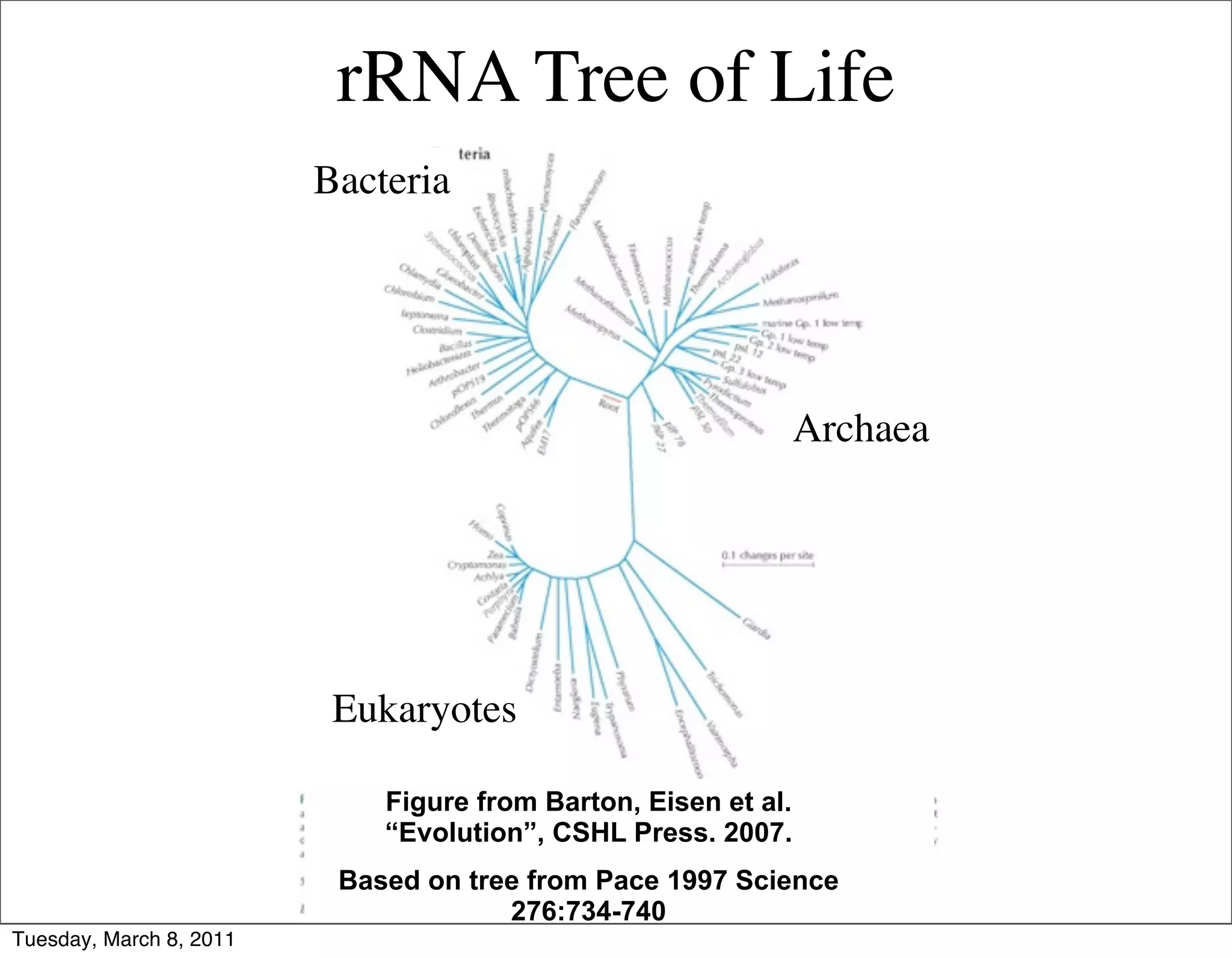 rRNA Tree of Life
                         Bacteria




                                                                Archaea




                          Eukaryotes

                             Figure from Barton, Eisen et al.
                             “Evolution”, CSHL Press. 2007.
                          Based on tree from Pace 1997 Science
                                      276:734-740
Tuesday, March 8, 2011
 