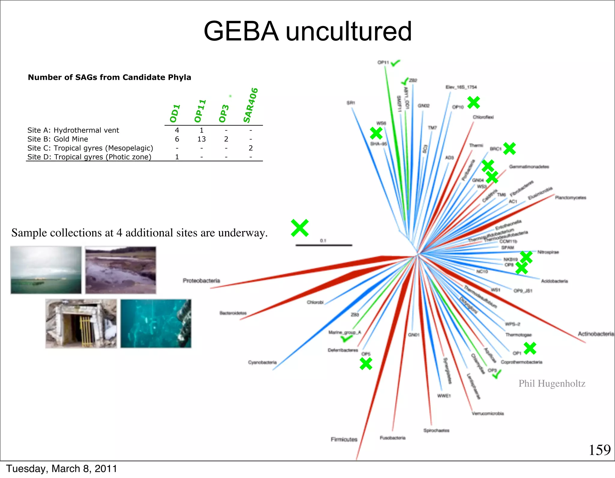 GEBA uncultured
    Number of SAGs from Candidate Phyla




                                                                406
                                                    1
                                             OD1

                                                   OP1

                                                         OP3

                                                               SAR
    Site   A: Hydrothermal vent               4      1    -     -
    Site   B: Gold Mine                       6     13    2     -
    Site   C: Tropical gyres (Mesopelagic)    -      -    -     2
    Site   D: Tropical gyres (Photic zone)    1      -    -     -




 Sample collections at 4 additional sites are underway.




                                                                       Phil Hugenholtz




                                                                                         159
Tuesday, March 8, 2011
 