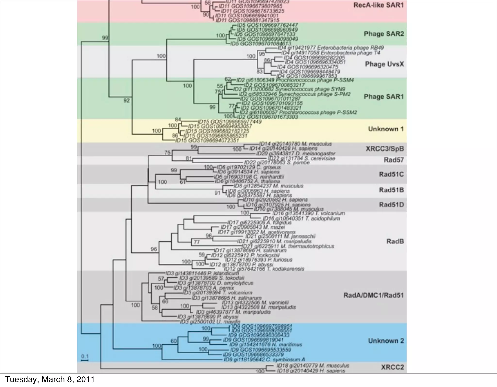 Tuesday, March 8, 2011
 