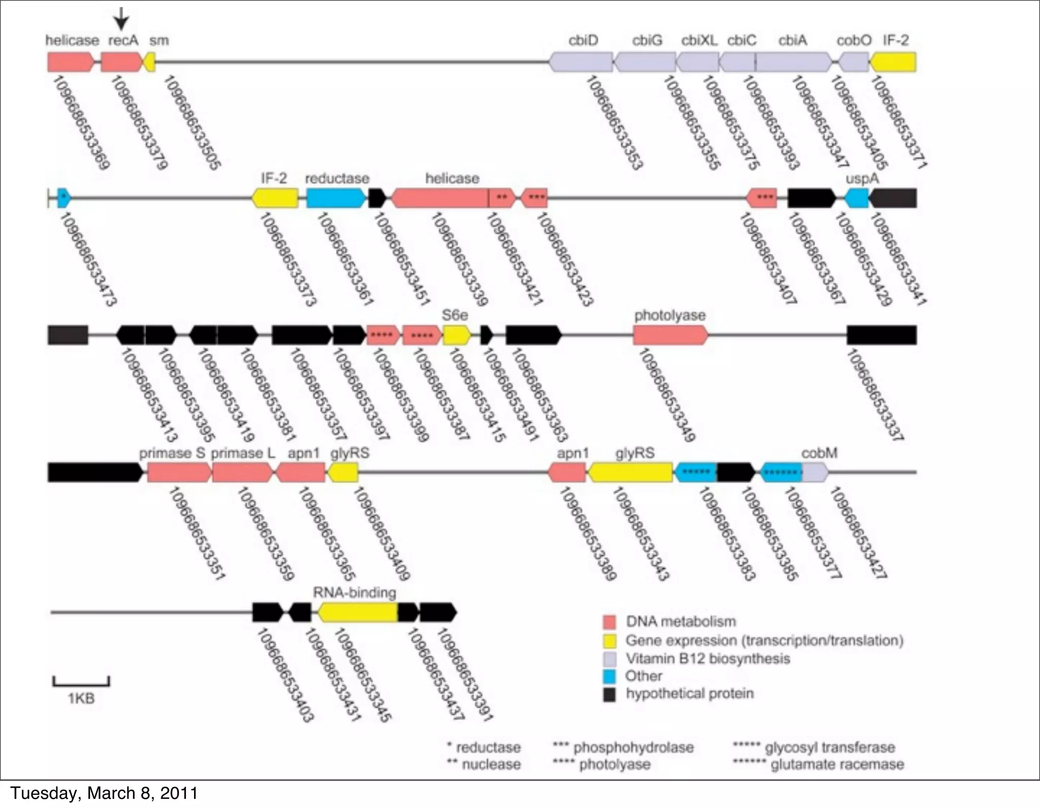 Tuesday, March 8, 2011
 