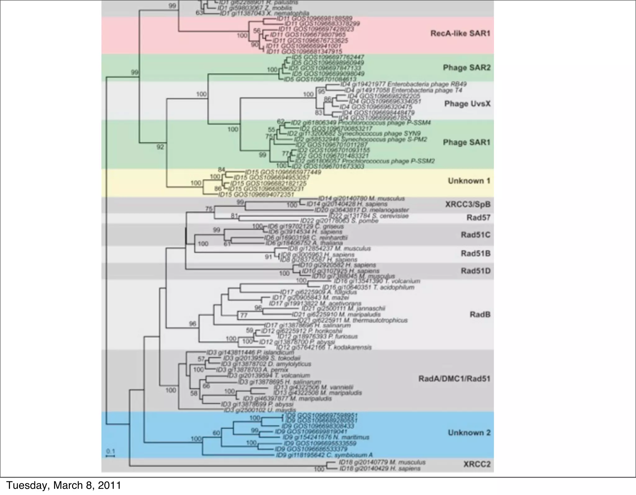 Tuesday, March 8, 2011
 