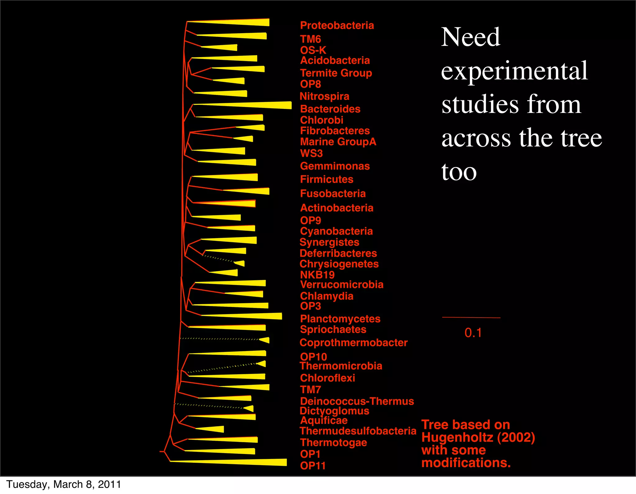 Proteobacteria
                         TM6
                         OS-K
                                                   Need
                         Acidobacteria
                         Termite Group
                         OP8
                                                   experimental
                         Nitrospira
                         Bacteroides
                         Chlorobi
                                                   studies from
                         Fibrobacteres
                         Marine GroupA
                         WS3
                                                   across the tree
                         Gemmimonas
                         Firmicutes                too
                         Fusobacteria
                         Actinobacteria
                         OP9
                         Cyanobacteria
                         Synergistes
                         Deferribacteres
                         Chrysiogenetes
                         NKB19
                         Verrucomicrobia
                         Chlamydia
                         OP3
                         Planctomycetes
                         Spriochaetes                  0.1
                         Coprothmermobacter
                         OP10
                         Thermomicrobia
                         Chloroﬂexi
                         TM7
                         Deinococcus-Thermus
                         Dictyoglomus
                         Aquiﬁcae                Tree based on
                         Thermudesulfobacteria
                         Thermotogae             Hugenholtz (2002)
                         OP1                     with some
                         OP11                    modiﬁcations.
Tuesday, March 8, 2011
 