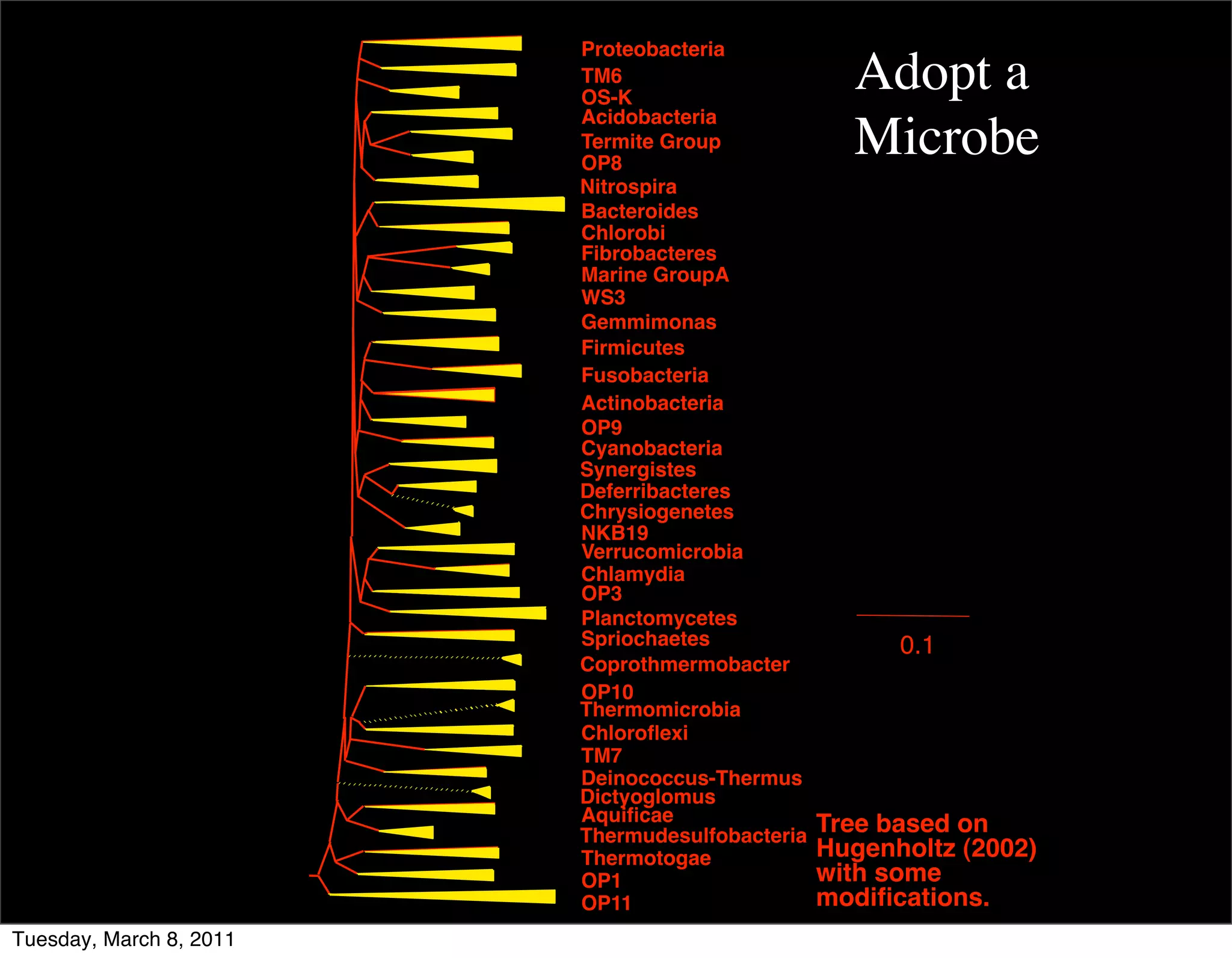 Proteobacteria
                         TM6
                         OS-K
                                                   Adopt a
                         Acidobacteria
                         Termite Group
                         OP8
                                                   Microbe
                         Nitrospira
                         Bacteroides
                         Chlorobi
                         Fibrobacteres
                         Marine GroupA
                         WS3
                         Gemmimonas
                         Firmicutes
                         Fusobacteria
                         Actinobacteria
                         OP9
                         Cyanobacteria
                         Synergistes
                         Deferribacteres
                         Chrysiogenetes
                         NKB19
                         Verrucomicrobia
                         Chlamydia
                         OP3
                         Planctomycetes
                         Spriochaetes                  0.1
                         Coprothmermobacter
                         OP10
                         Thermomicrobia
                         Chloroﬂexi
                         TM7
                         Deinococcus-Thermus
                         Dictyoglomus
                         Aquiﬁcae                Tree based on
                         Thermudesulfobacteria
                         Thermotogae             Hugenholtz (2002)
                         OP1                     with some
                         OP11                    modiﬁcations.
Tuesday, March 8, 2011
 
