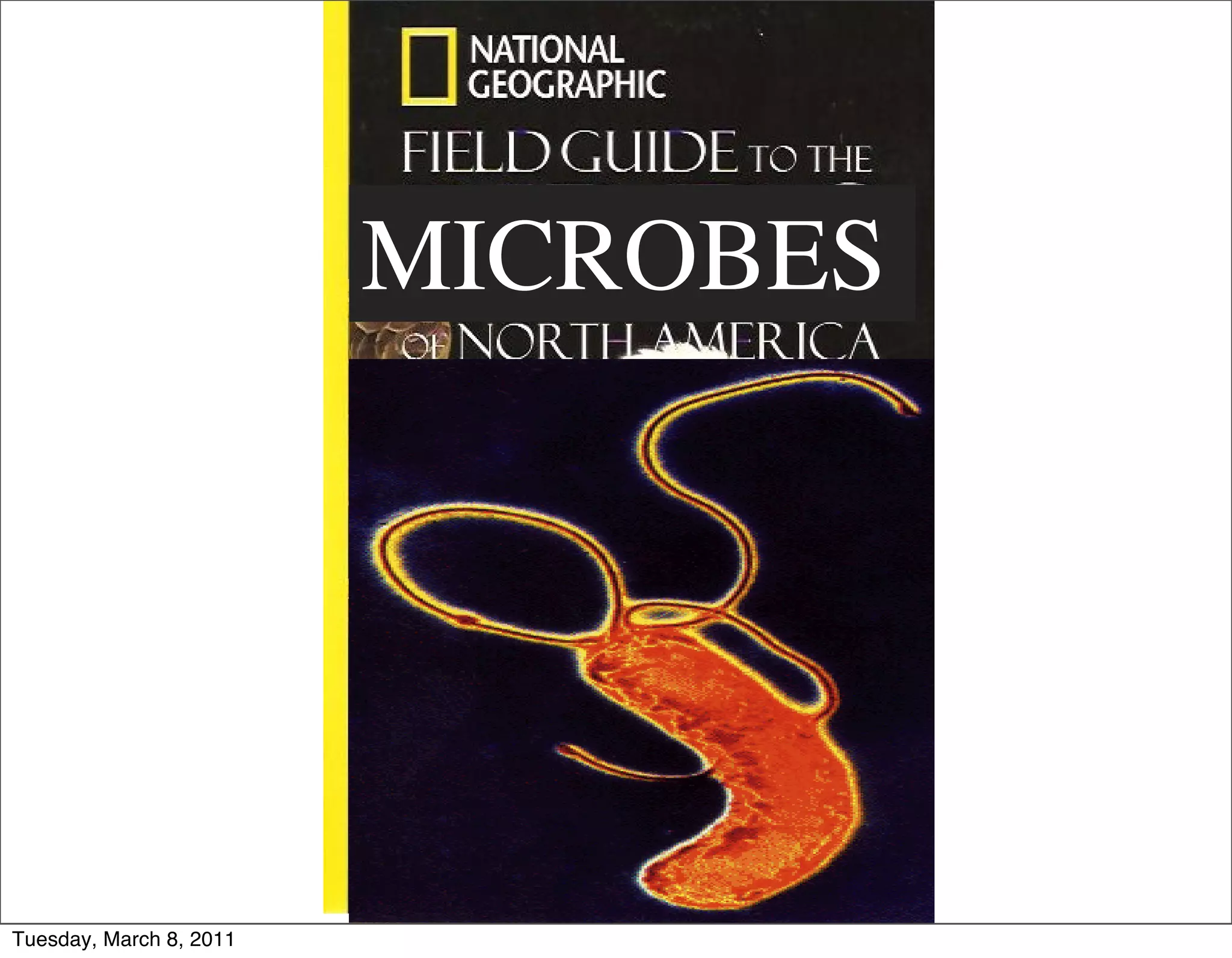 MICROBES




Tuesday, March 8, 2011
 
