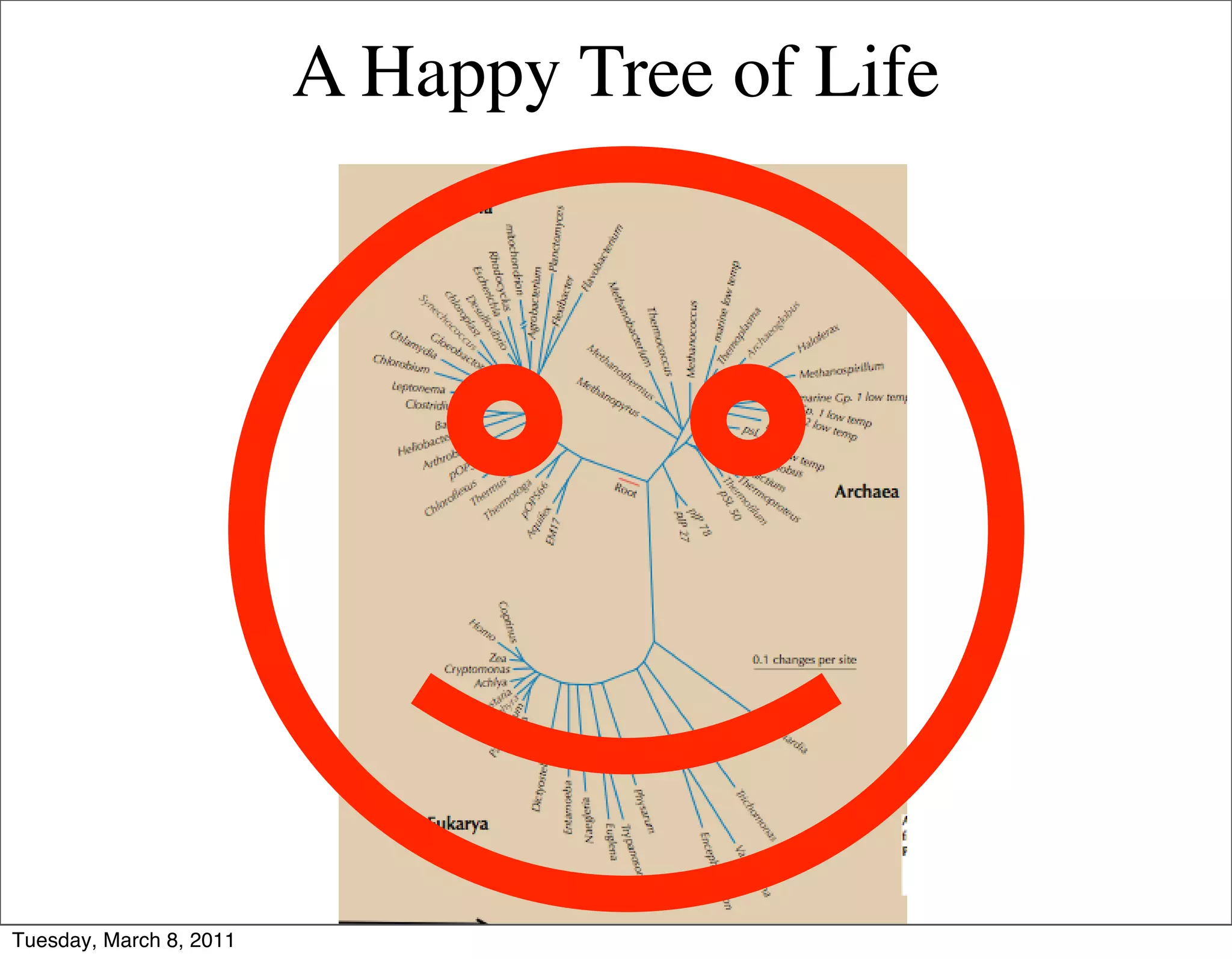 A Happy Tree of Life




Tuesday, March 8, 2011
 