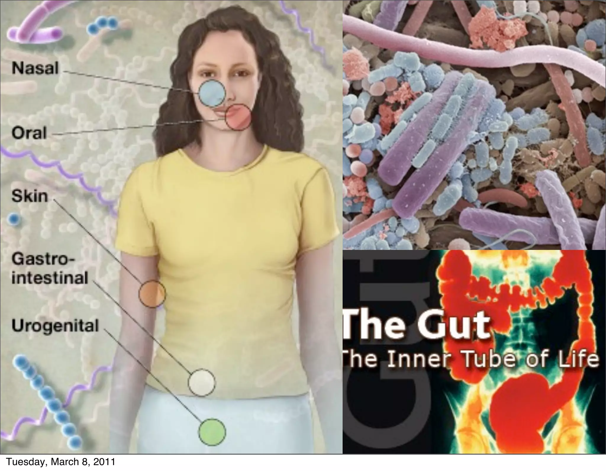 Tuesday, March 8, 2011
 