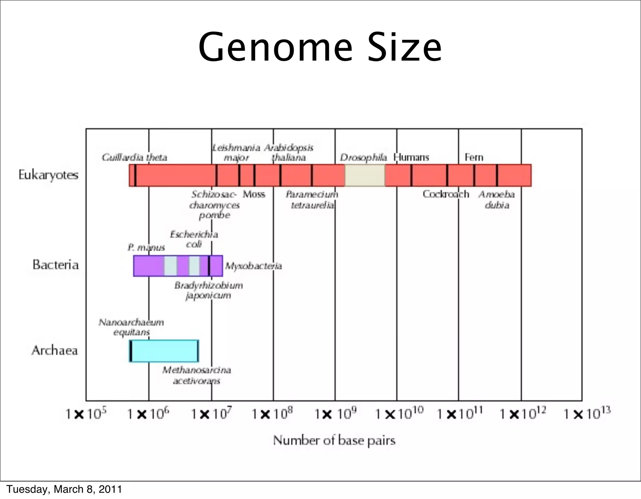 Genome Size




Tuesday, March 8, 2011
 