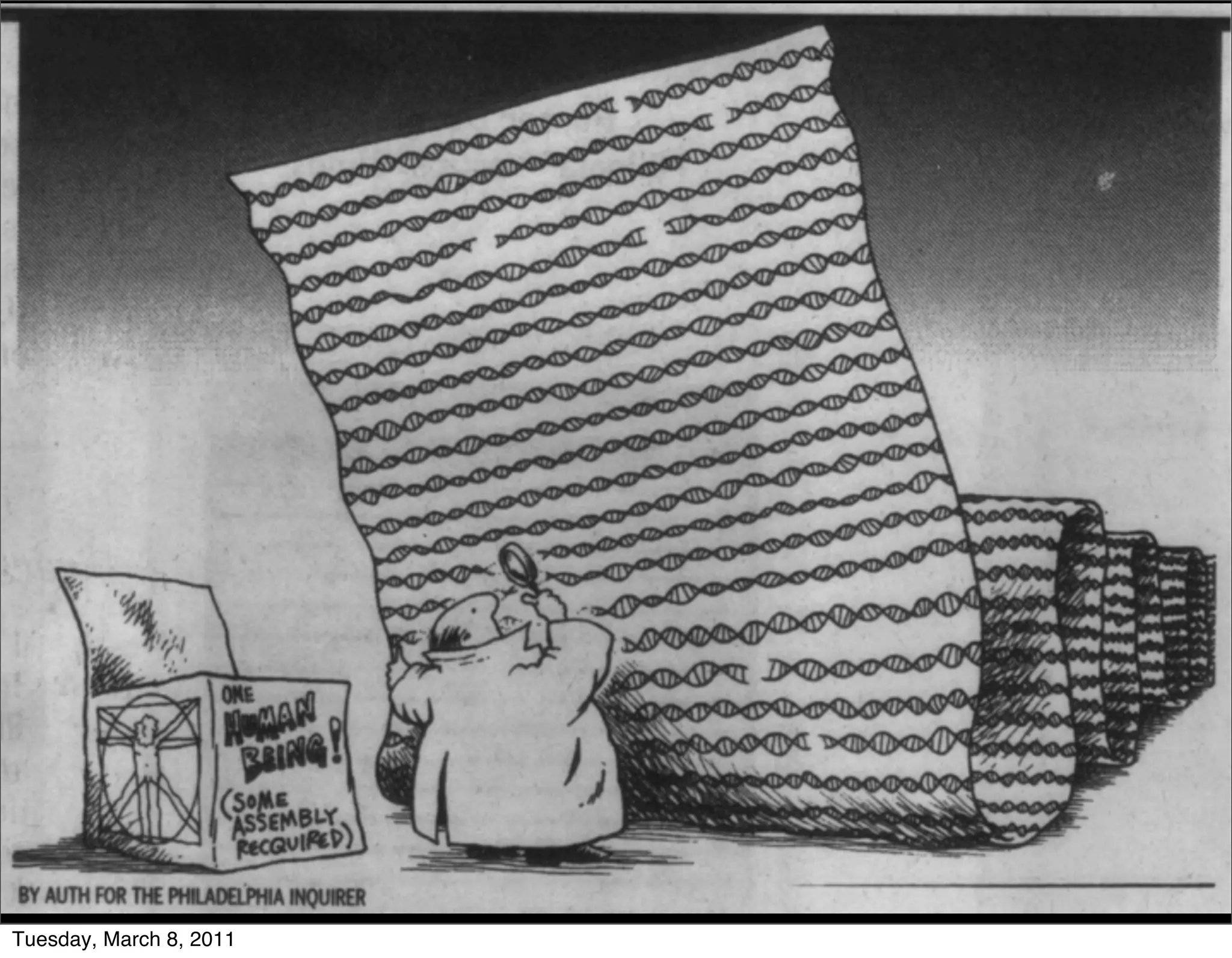 Tuesday, March 8, 2011
 