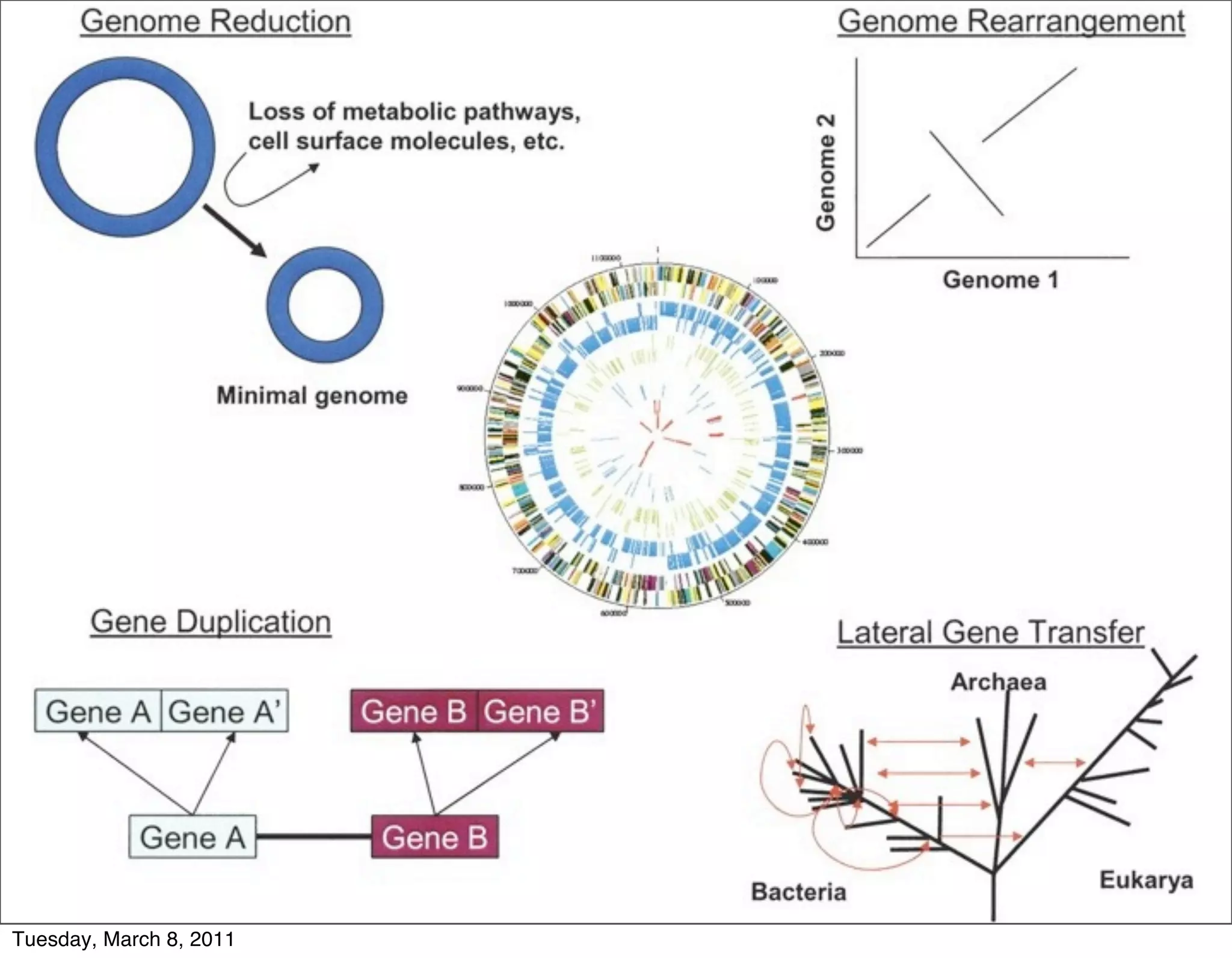 Tuesday, March 8, 2011
 