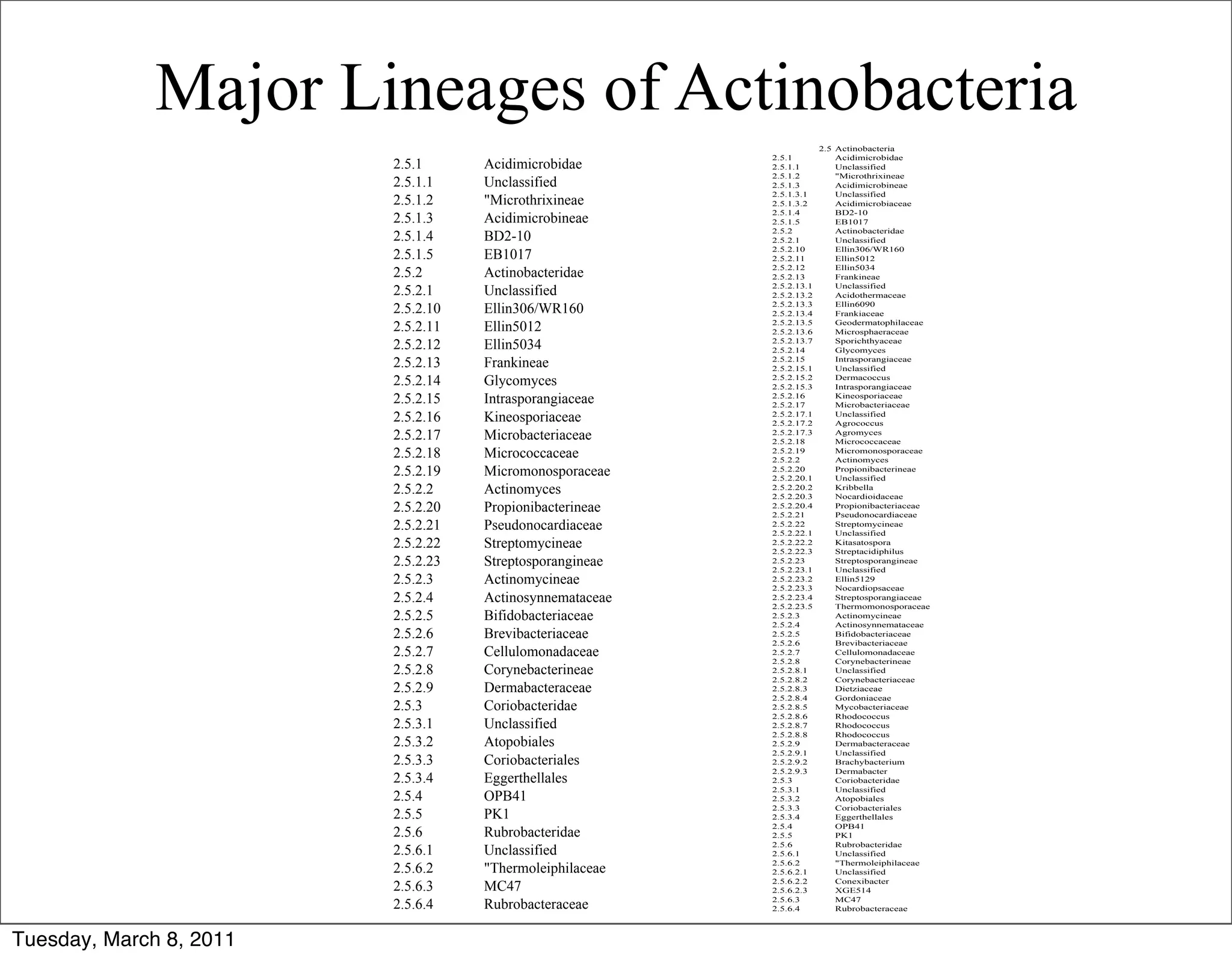 Major Lineages of Actinobacteria
                                                                       2.5 Actinobacteria
                                                          2.5.1            Acidimicrobidae
                         2.5.1      Acidimicrobidae       2.5.1.1          Unclassified
                                                          2.5.1.2          "Microthrixineae
                         2.5.1.1    Unclassified          2.5.1.3          Acidimicrobineae
                                                          2.5.1.3.1        Unclassified
                         2.5.1.2    "Microthrixineae      2.5.1.3.2        Acidimicrobiaceae
                                                          2.5.1.4          BD2-10
                         2.5.1.3    Acidimicrobineae      2.5.1.5          EB1017
                                                          2.5.2            Actinobacteridae
                         2.5.1.4    BD2-10                2.5.2.1          Unclassified
                                                          2.5.2.10         Ellin306/WR160
                         2.5.1.5    EB1017                2.5.2.11         Ellin5012
                                                          2.5.2.12         Ellin5034
                         2.5.2      Actinobacteridae      2.5.2.13         Frankineae
                                                          2.5.2.13.1       Unclassified
                         2.5.2.1    Unclassified          2.5.2.13.2       Acidothermaceae

                         2.5.2.10   Ellin306/WR160        2.5.2.13.3
                                                          2.5.2.13.4
                                                                           Ellin6090
                                                                           Frankiaceae

                         2.5.2.11   Ellin5012             2.5.2.13.5
                                                          2.5.2.13.6
                                                                           Geodermatophilaceae
                                                                           Microsphaeraceae

                         2.5.2.12   Ellin5034             2.5.2.13.7
                                                          2.5.2.14
                                                                           Sporichthyaceae
                                                                           Glycomyces
                         2.5.2.13   Frankineae            2.5.2.15
                                                          2.5.2.15.1
                                                                           Intrasporangiaceae
                                                                           Unclassified
                         2.5.2.14   Glycomyces            2.5.2.15.2
                                                          2.5.2.15.3
                                                                           Dermacoccus
                                                                           Intrasporangiaceae
                         2.5.2.15   Intrasporangiaceae    2.5.2.16
                                                          2.5.2.17
                                                                           Kineosporiaceae
                                                                           Microbacteriaceae
                         2.5.2.16   Kineosporiaceae       2.5.2.17.1
                                                          2.5.2.17.2
                                                                           Unclassified
                                                                           Agrococcus
                         2.5.2.17   Microbacteriaceae     2.5.2.17.3
                                                          2.5.2.18
                                                                           Agromyces
                                                                           Micrococcaceae
                         2.5.2.18   Micrococcaceae        2.5.2.19
                                                          2.5.2.2
                                                                           Micromonosporaceae
                                                                           Actinomyces
                         2.5.2.19   Micromonosporaceae    2.5.2.20
                                                          2.5.2.20.1
                                                                           Propionibacterineae
                                                                           Unclassified
                         2.5.2.2    Actinomyces           2.5.2.20.2
                                                          2.5.2.20.3
                                                                           Kribbella
                                                                           Nocardioidaceae
                         2.5.2.20   Propionibacterineae   2.5.2.20.4
                                                          2.5.2.21
                                                                           Propionibacteriaceae
                                                                           Pseudonocardiaceae
                         2.5.2.21   Pseudonocardiaceae    2.5.2.22
                                                          2.5.2.22.1
                                                                           Streptomycineae
                                                                           Unclassified
                         2.5.2.22   Streptomycineae       2.5.2.22.2
                                                          2.5.2.22.3
                                                                           Kitasatospora
                                                                           Streptacidiphilus
                         2.5.2.23   Streptosporangineae   2.5.2.23
                                                          2.5.2.23.1
                                                                           Streptosporangineae
                                                                           Unclassified
                         2.5.2.3    Actinomycineae        2.5.2.23.2
                                                          2.5.2.23.3
                                                                           Ellin5129
                                                                           Nocardiopsaceae
                         2.5.2.4    Actinosynnemataceae   2.5.2.23.4
                                                          2.5.2.23.5
                                                                           Streptosporangiaceae
                                                                           Thermomonosporaceae
                         2.5.2.5    Bifidobacteriaceae    2.5.2.3          Actinomycineae
                                                          2.5.2.4          Actinosynnemataceae
                         2.5.2.6    Brevibacteriaceae     2.5.2.5          Bifidobacteriaceae
                                                          2.5.2.6          Brevibacteriaceae
                         2.5.2.7    Cellulomonadaceae     2.5.2.7          Cellulomonadaceae
                                                          2.5.2.8          Corynebacterineae
                         2.5.2.8    Corynebacterineae     2.5.2.8.1        Unclassified
                                                          2.5.2.8.2        Corynebacteriaceae
                         2.5.2.9    Dermabacteraceae      2.5.2.8.3        Dietziaceae
                                                          2.5.2.8.4        Gordoniaceae
                         2.5.3      Coriobacteridae       2.5.2.8.5        Mycobacteriaceae
                                                          2.5.2.8.6        Rhodococcus
                         2.5.3.1    Unclassified          2.5.2.8.7        Rhodococcus
                                                          2.5.2.8.8        Rhodococcus
                         2.5.3.2    Atopobiales           2.5.2.9          Dermabacteraceae
                                                          2.5.2.9.1        Unclassified
                         2.5.3.3    Coriobacteriales      2.5.2.9.2        Brachybacterium
                                                          2.5.2.9.3        Dermabacter
                         2.5.3.4    Eggerthellales        2.5.3            Coriobacteridae
                                                          2.5.3.1          Unclassified
                         2.5.4      OPB41                 2.5.3.2          Atopobiales
                                                          2.5.3.3          Coriobacteriales
                         2.5.5      PK1                   2.5.3.4          Eggerthellales
                                                          2.5.4            OPB41
                         2.5.6      Rubrobacteridae       2.5.5            PK1
                                                          2.5.6            Rubrobacteridae
                         2.5.6.1    Unclassified          2.5.6.1          Unclassified
                                                          2.5.6.2          "Thermoleiphilaceae
                         2.5.6.2    "Thermoleiphilaceae   2.5.6.2.1        Unclassified
                                                          2.5.6.2.2        Conexibacter
                         2.5.6.3    MC47                  2.5.6.2.3        XGE514
                                                          2.5.6.3          MC47
                         2.5.6.4    Rubrobacteraceae      2.5.6.4          Rubrobacteraceae



Tuesday, March 8, 2011
 