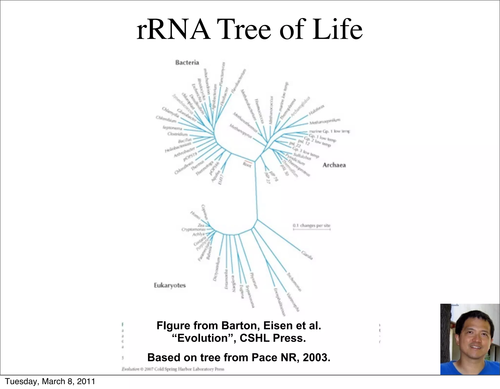 rRNA Tree of Life




                          FIgure from Barton, Eisen et al.
                             “Evolution”, CSHL Press.
                         Based on tree from Pace NR, 2003.

Tuesday, March 8, 2011
 