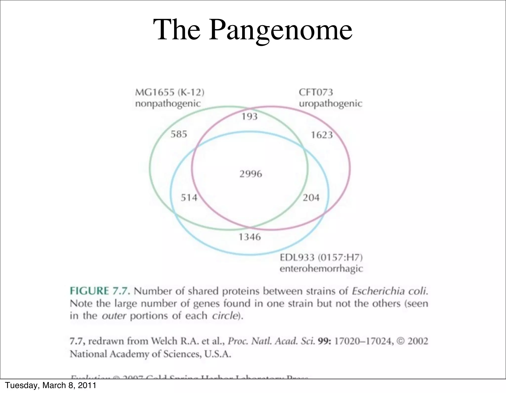 The Pangenome




Tuesday, March 8, 2011
 