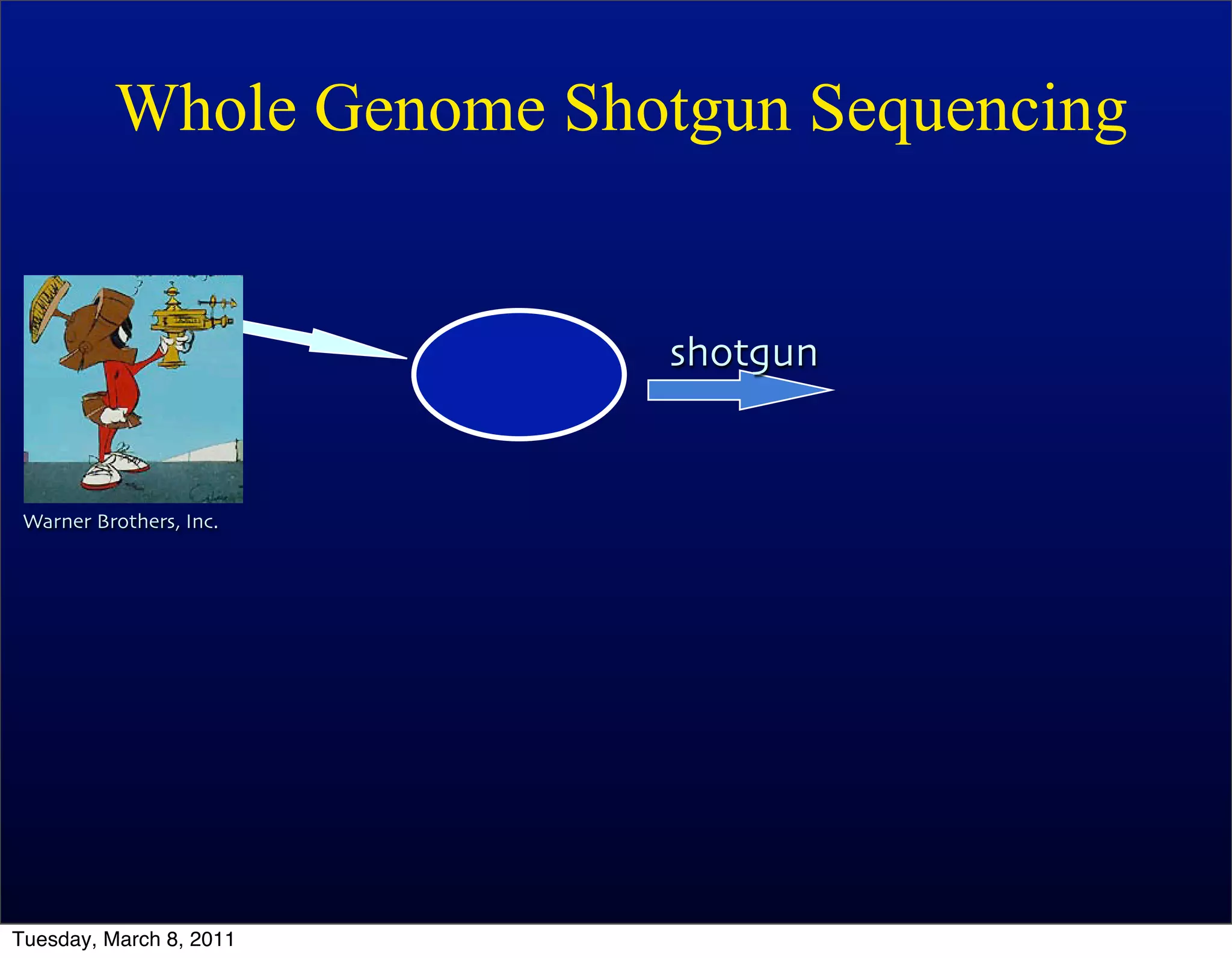 Whole Genome Shotgun Sequencing


                          shotgun


 Warner Brothers, Inc.




Tuesday, March 8, 2011
 