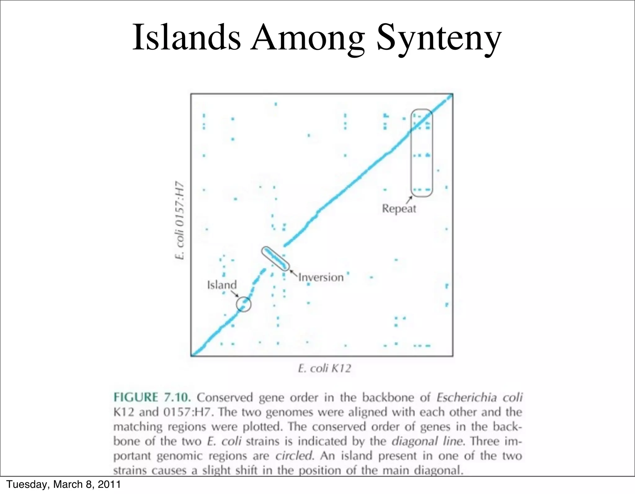 Islands Among Synteny




Tuesday, March 8, 2011
 