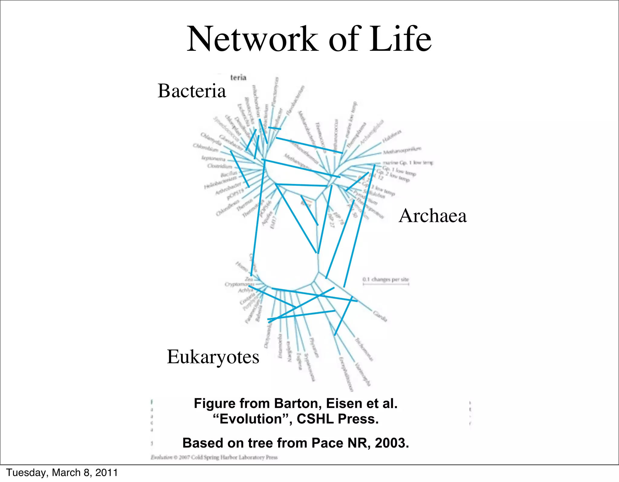 Network of Life
                         Bacteria




                                                                Archaea




                          Eukaryotes

                             Figure from Barton, Eisen et al.
                                “Evolution”, CSHL Press.
                           Based on tree from Pace NR, 2003.

Tuesday, March 8, 2011
 