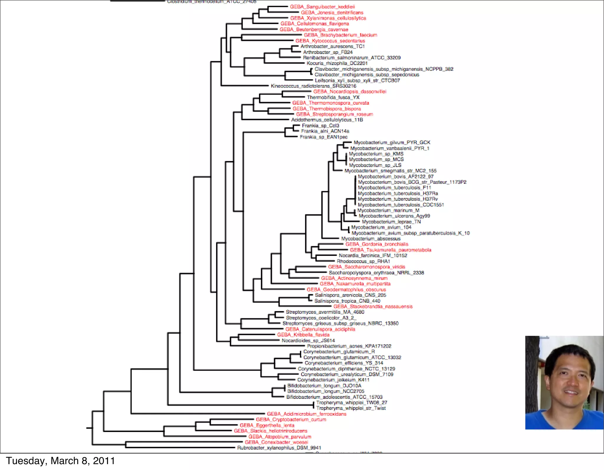 Tuesday, March 8, 2011
 