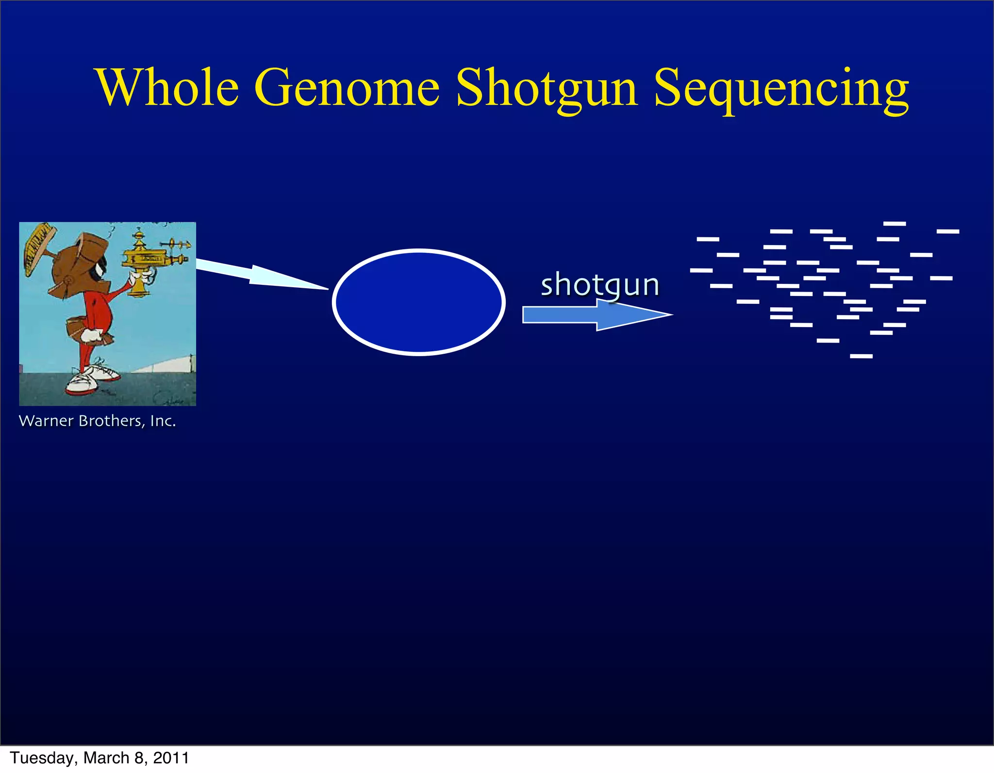 Whole Genome Shotgun Sequencing


                          shotgun


 Warner Brothers, Inc.




Tuesday, March 8, 2011
 