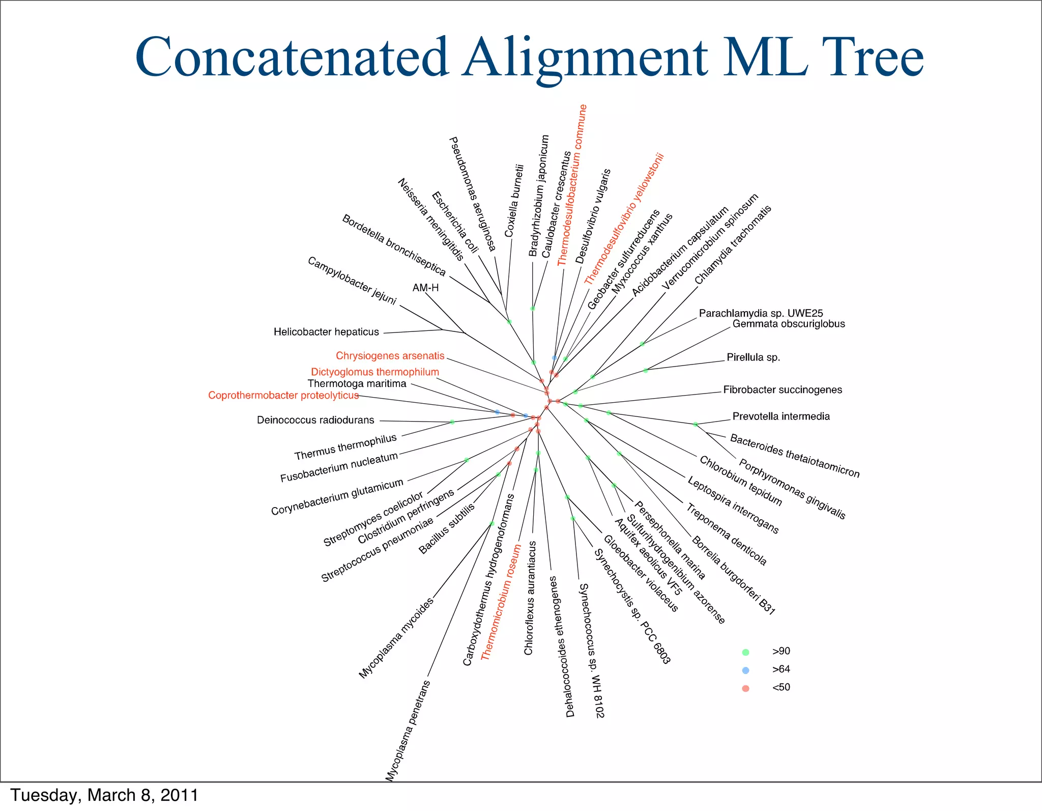 Concatenated Alignment ML Tree




Tuesday, March 8, 2011
 