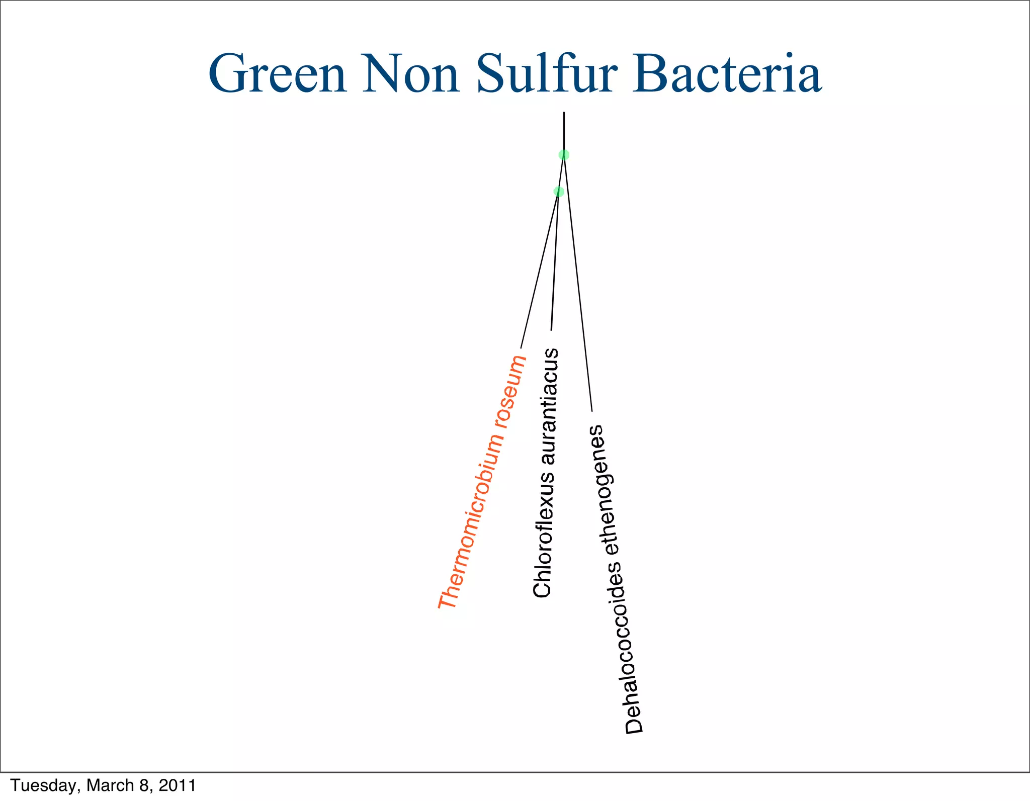 Green Non Sulfur Bacteria




Tuesday, March 8, 2011
 