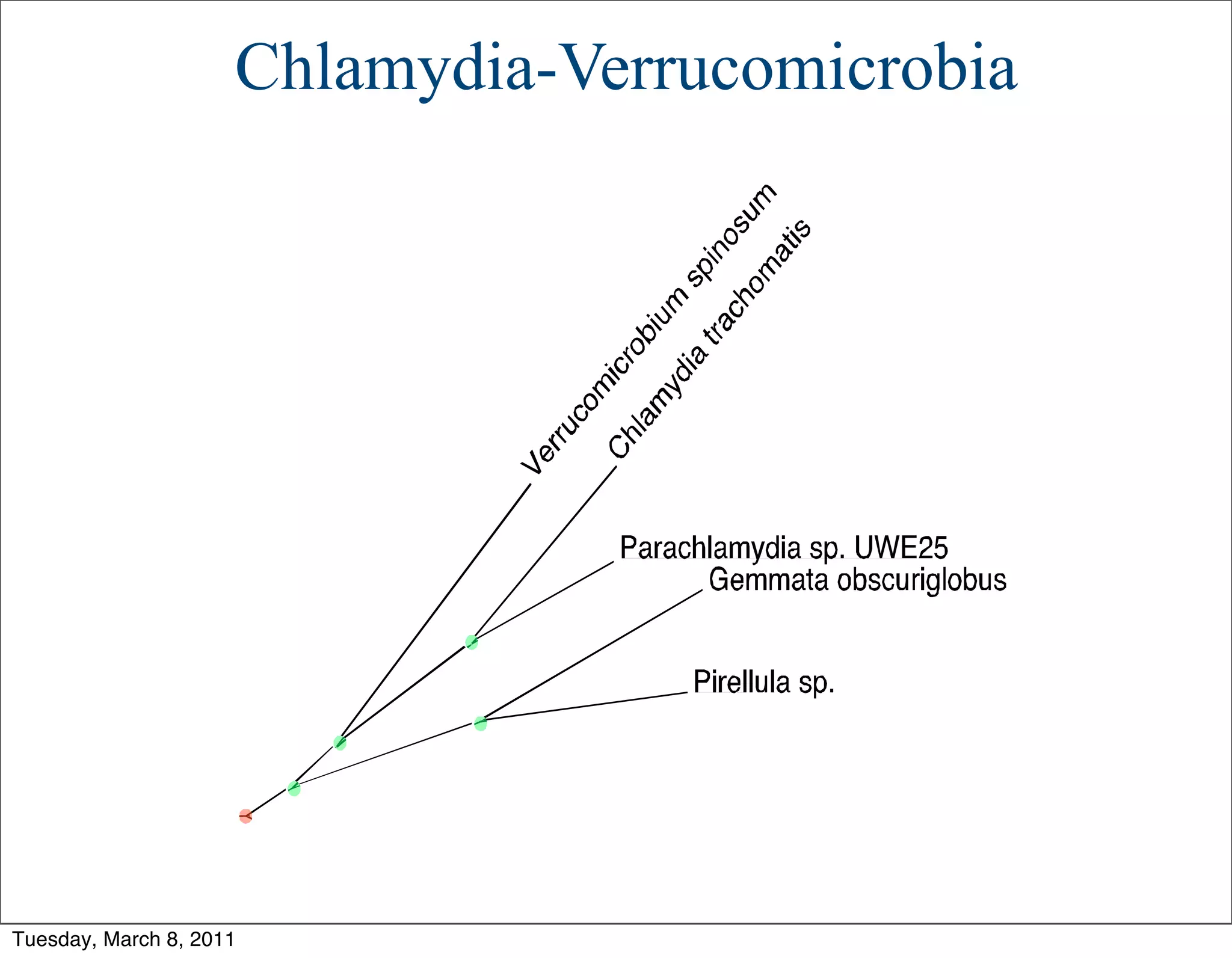 Chlamydia-Verrucomicrobia




Tuesday, March 8, 2011
 