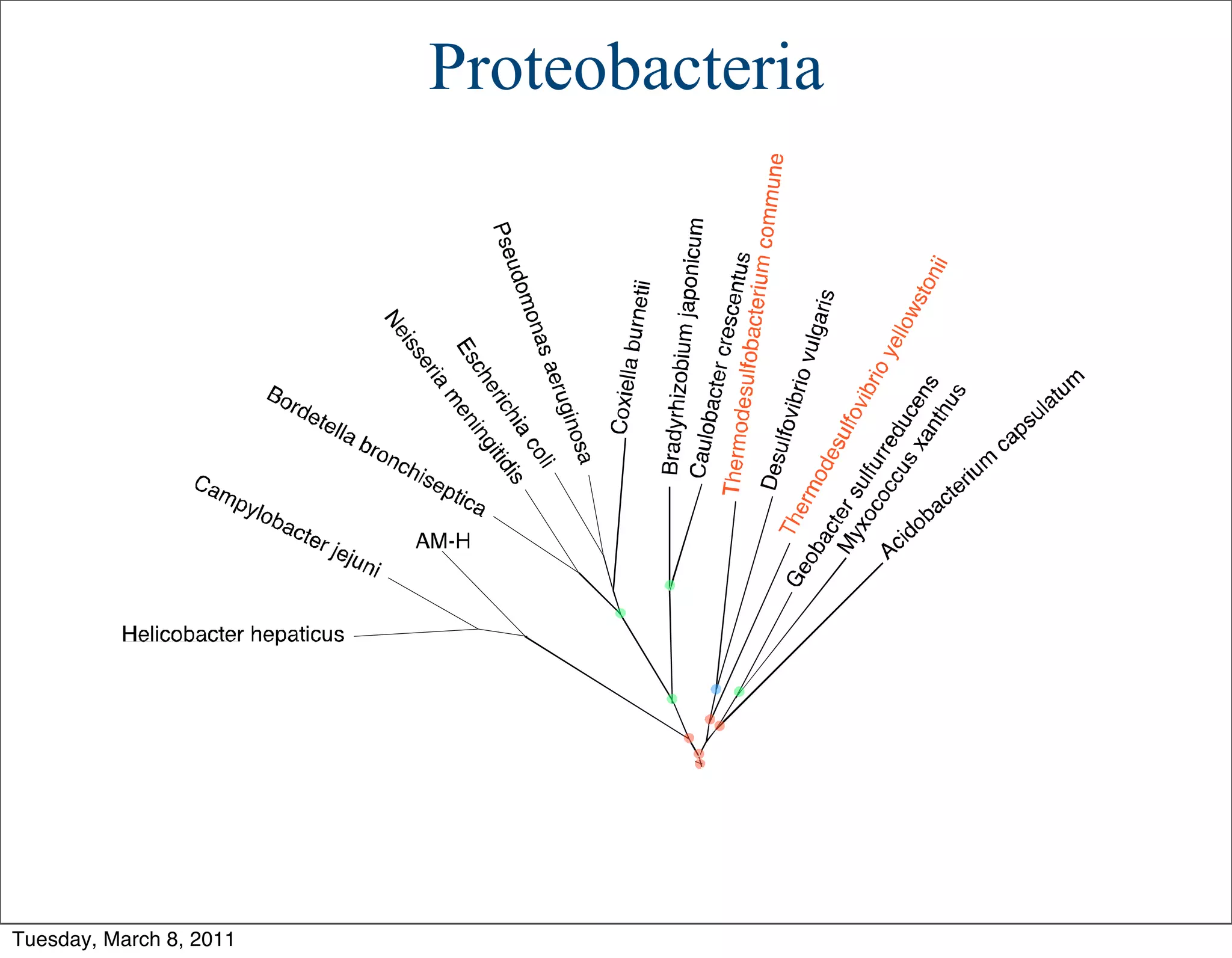 Proteobacteria




Tuesday, March 8, 2011
 