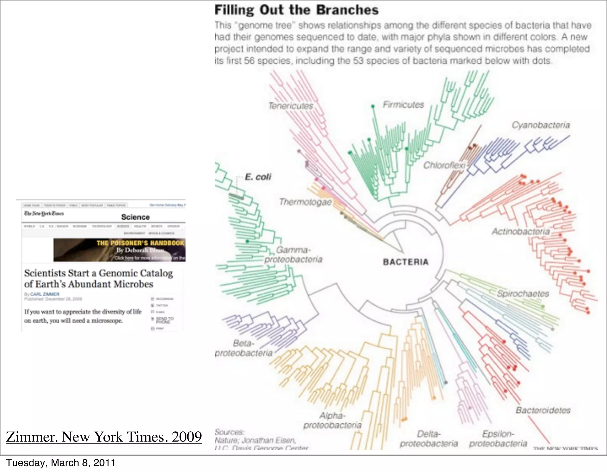 Zimmer. New York Times. 2009
Tuesday, March 8, 2011
 