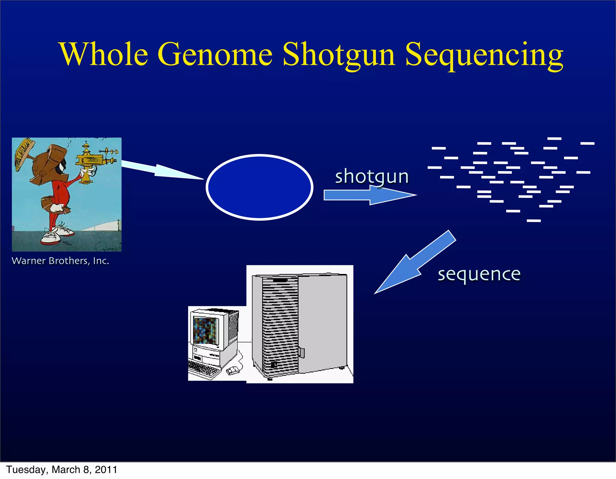 Whole Genome Shotgun Sequencing


                          shotgun


 Warner Brothers, Inc.
                                    sequence




Tuesday, March 8, 2011
 
