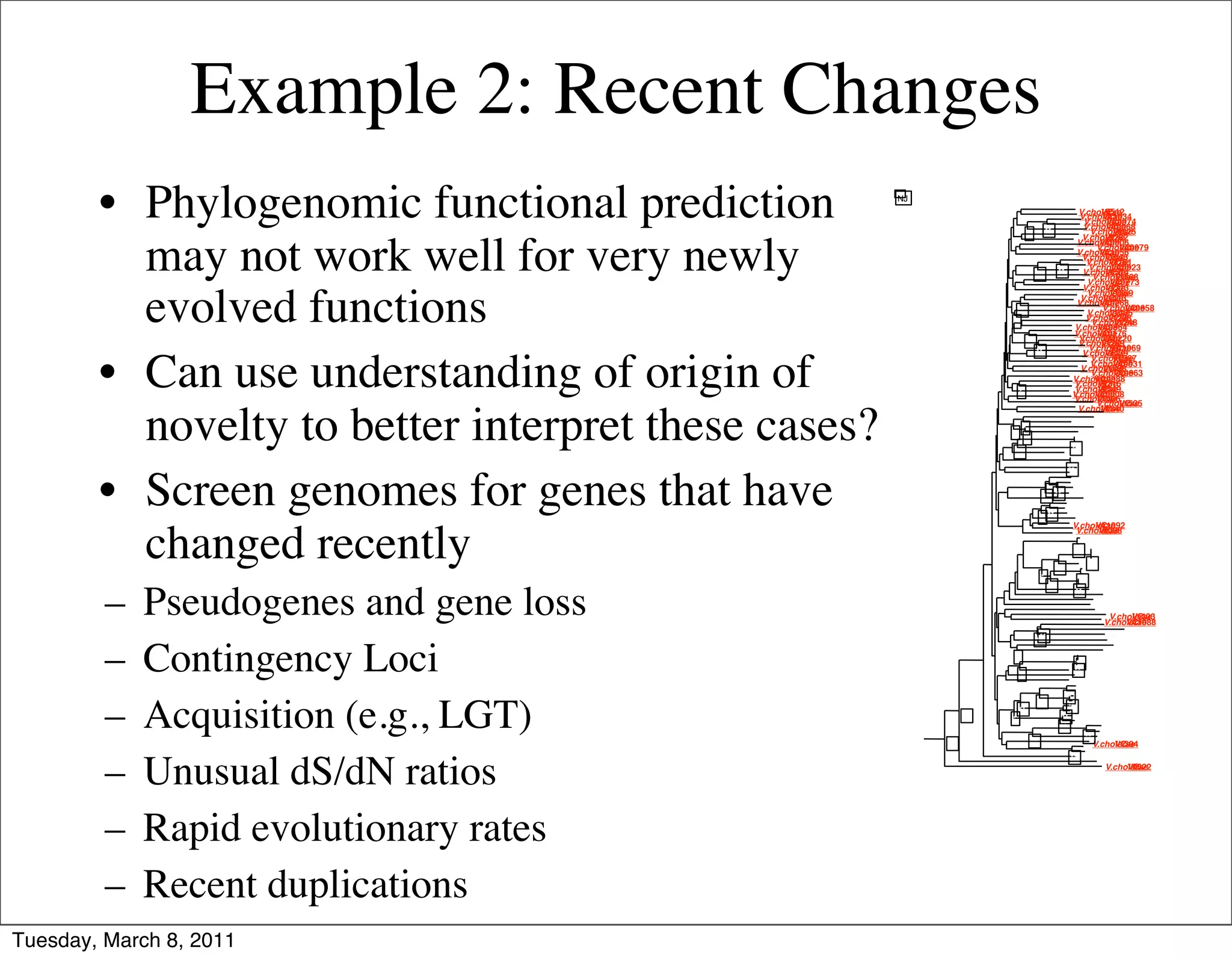 Example 2: Recent Changes
        • Phylogenomic functional prediction         NJ



                                                                        *      **
                                                                                               V.cholerae0512
                                                                                                        VC
                                                                                                V.cholerae
                                                                                                        VCA1034
                                                                                                 V.cholerae
                                                                                                          VC
                                                                                                 V.cholerae
                                                                                                         VC
                                                                                                 V.cholerae
                                                                                                         VC
                                                                                                           A0974
                                                                                                           A0068
                                                                                                    V.cholerae
                                                                                                            VC
                                                                                                             0825
                                                                                                           0282


          may not work well for very newly
                                                                                              V.cholerae
                                                                                                       VCA0906
                                                                                                      V.cholerae
                                                                                                              VC
                                                                                                               A0979
                                                                                              V.cholerae
                                                                                                       VCA1056
                                                                                                 V.cholerae
                                                                                                         VC1643
                                                                                                  V.cholerae
                                                                                                          VC2161
                                                                                       **          V.cholerae
                                                                                                           VCA0923
                                                                              **                 V.cholerae
                                                                                                         VC0514
                                                                                                    V.cholerae
                                                                                                             VC
                                                                                                              1868
                                                                                                   V.cholerae
                                                                                                           VC
                                                                                                            A0773
                                                                                                 V.cholerae
                                                                                                         VC1313


          evolved functions
                                                                                                   V.cholerae
                                                                                                           VC
                                                                                                            1859
                                                                                                V.cholerae
                                                                                                        VC1413
                                                                                              V.cholerae
                                                                                                       VCA0268
                                                                      **                                V.cholerae
                                                                                                                VC
                                                                                                                 A0658
                                                                                                   V.cholerae
                                                                                                           VC
                                                                                                            1405
                                                                    *                             V.cholerae
                                                                                                          VC1298
                                                                                                    V.cholerae
                                                                                                            VC1248
                                                                                             V.cholerae
                                                                                                      VCA0864
                                                                                             V.cholerae
                                                                                                      VCA0176
                                                                           **                   V.cholerae
                                                                                                        VCA0220
                                                                                               V.cholerae
                                                                                                        VC
                                                                                                         1289
                                                                              **                   V.cholerae
                                                                                                           VC1069
                                                                                                             A
                                                                                                 V.cholerae
                                                                                                         VC2439


        • Can use understanding of origin of
                                                                                                    V.cholerae
                                                                                                            VC967
                                                                                                             1
                                                                                                    V.cholerae
                                                                                                            VC
                                                                                                             A0031
                                                                                                V.cholerae
                                                                                                        VC1898
                                                                                                    V.cholerae
                                                                                                            VC
                                                                                                             A0663
                                                                                             V.cholerae
                                                                                                     VC0988
                                                                                                       A
                                                                                             V.cholerae
                                                                                                      VC0216
                                                                      *                      V.cholerae
                                                                                                      VC0449
                                                                                            V.cholerae
                                                                                                     VCA0008
                                                                                             V.cholerae
                                                                                                      VC1406
                                                                                                      V.cholerae
                                                                                                              VC
                                                                                                               1535


          novelty to better interpret these cases?
                                                                                               V.cholerae
                                                                                                       VC0840
                                                                                                          B.subtilis
                                                                                                                gi2633766
                                                                                                      Synechocystis
                                                                                                                sp.
                                                                                                                  gi1001299
                                                                         *                   Synechocystis
                                                                                                        sp.gi1001300
                                                                    *                                 Synechocystis
                                                                                                                sp.
                                                                                                                  gi1652276
                                                                          *                     Synechocystis
                                                                                                           sp.
                                                                                                             gi1652103
                                                                                               H.pylori
                                                                                                     gi2313716
                                                                     **                     **H.pylori
                                                                                                    99 gi4155097
                                                                                               C.jejuni
                                                                                                     Cj1190c
                                                                                           C.jejuni
                                                                                                 Cj1110c
                                                                                             A.fulgidus
                                                                                                     gi2649560
                                                                                             A.fulgidus
                                                                                                     gi2649548
                                                                                           ** B.subtilis
                                                                                                       gi2634254


        • Screen genomes for genes that have
                                                                                             B.subtilis
                                                                                                    gi2632630
                                                                                             B.subtilis
                                                                                                     gi2635607
                                                                                             B.subtilis
                                                                                                    gi2635608
                                                                                   **         B.subtilis
                                                                                                     gi2635609
                                                                                 ** ** B.subtilisgi2635882
                                                                                                    gi2635610
                                                                                                  B.subtilis
                                                                                           E.coligi1788195
                                                                                           E.coli
                                                                                                gi2367378
                                                                                * **       E.coligi1788194
                                                                                               E.coli A1092
                                                                                                    gi1787690
                                                                                             V.cholerae
                                                                                                      VC


          changed recently
                                                                                              V.cholerae
                                                                                                       VC
                                                                                                        0098
                                                                                              E.coli
                                                                                                   gi1789453
                                                                                                 H.pylori
                                                                                                       gi2313186
                                                                                                 H.pylori
                                                                                                      99 gi4154603
                                                                                             ** C.jejuni   Cj0144
                                                                                                     C.jejuni
                                                                                                           Cj1564
                                                                                                   **C.jejuni
                                                                                                 C.jejuni
                                                                                                           Cj0262c
                                                                                                      Cj1506c
                                                                                      **          H.pylori
                                                                                                        gi2313163
                                                                                *              ** H.pylori
                                                                                                       99 gi4154575
                                                                                   **            H.pylori
                                                                                                      gi2313179
                                                                                                 H.pylori
                                                                                                      99 gi4154599

         –   Pseudogenes and gene loss
                                                                                              ** C.jejuni Cj0019c
                                                                                                         C.jejuni
                                                                                                               Cj0951c
                                                                                                      C.jejuni
                                                                                                            Cj0246c
                                                                                                     B.subtilis
                                                                                                            gi2633374
                                                                                                      T.maritima
                                                                                                              TM0014
                                                                                                           V.cholerae
                                                                                                                  VC1403
                                                                                                         V.cholerae
                                                                                                                VCA1088
                                                                                                          T.pallidum
                                                                                                                 gi3322777
                                                                                **                               T.pallidum
                                                                                                                        gi3322939
                                                                              **                          T.pallidum
                                                                                                                 gi3322938
                                                                                                           B.burgdorferi
                                                                                                                    gi2688522

         –   Contingency Loci
                                                                                                             T.pallidum
                                                                                                                    gi3322296
                                                                                                         B.burgdorferi
                                                                                                                  gi2688521
                                                                     *                          T.maritima
                                                                                                        TM0429
                                                                                              **T.maritima
                                                                                                        TM0918
                                                                       *                     **T.maritima
                                                                                            T.maritima
                                                                                                        TM0023
                                                                                                     TM1428
                                                                                               T.maritima
                                                                                                       TM1143
                                                                                            T.maritima
                                                                                                     TM1146
                                                                                               P.abyssi
                                                                                                      PAB1308
                                                                                               P.horikoshii
                                                                                                       gi3256846
                                                                                          ** P.abyssiPAB1336


         –   Acquisition (e.g., LGT)
                                                                               **             P.horikoshii
                                                                                                       gi3256896
                                                                      **                   **P.abyssi
                                                                                                    PAB2066
                                                               **                            P.horikoshii
                                                                                        ** P.abyssi   gi3258290
                                                                    *                                PAB1026
                                                                                        ** P.horikoshii DRA00354
                                                                                                        gi3256884
                                                                                                         D.radiodurans
                                                                                                        D.radiodurans
                                                                                                  ** D.radioduransDRA0353
                                                                            **                                   DRA0352
                                                          **                                        V.cholerae
                                                                                                             VC
                                                                                                              1394
                                                                                                   P.abyssi
                                                                                                         PAB1189
                                                                                                   P.horikoshii
                                                                                                           gi3258414


         –   Unusual dS/dN ratios
                                                                                            ** B.burgdorferi
                                                                                                         gi2688621
                                                                                                       M.tuberculosis
                                                                                                                 gi1666149
                                                                                                         V.cholerae
                                                                                                                 VC
                                                                                                                  0622




         –   Rapid evolutionary rates
         –   Recent duplications
Tuesday, March 8, 2011
 