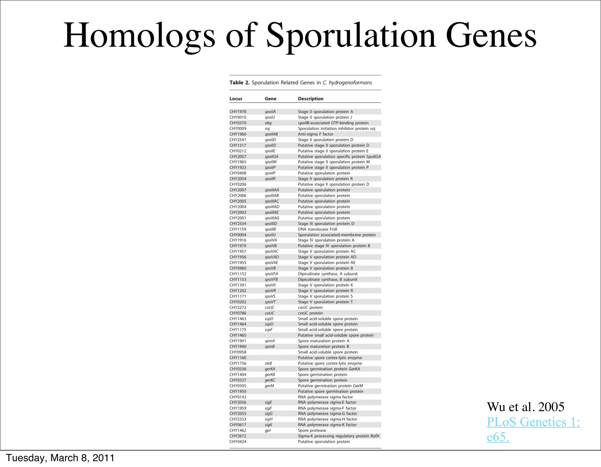 Homologs of Sporulation Genes




                                    Wu et al. 2005
                                    PLoS Genetics 1:
                                    e65.
Tuesday, March 8, 2011
 