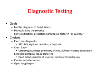Diagnostic Testing
• Goals
– For the diagnosis of heart defect
– For evaluating the severity
– For stratification, predictable prognostic factors? For surgery?

• Choices
– Electrocardiography
• RAE, RVH, right axis deviation, arrhythmia

– Chest X ray
• Cardiomegaly, dilated pulmonary arteries, pulmonary artery calcification

– Echocardiography: TEE is preferred
• Heart defect, direction of shunting, pulmonary hypertension

– Cardiac catheterization
– Open lung biopsy

 