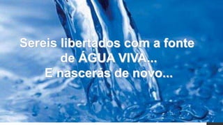 Eis o cordeiro de Deus