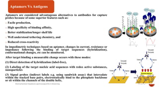 Aptamers are considered advantageous alternatives to antibodies for capture
probes because of some superior features such as:
o Facile production,
o High specificity of binding affinity,
o Better stabilization/longer shelf life
o Well understood tethering chemistry, and
o Reduced cross-reactivity
In impedimetric techniques based on aptamer, changes in current, resistance or
impedance following the binding of target sequences (hybridization),
conformational changes, etc can be monitored.
After target binding a measurable change occurs with these modes:
(1) Direct detection of hybridization (label-free),
(2) Labeling of the target nucleic acid sequences with redox active substances,
nanoparticles
(3) Signal probes (indirect labels e.g. using sandwich assay) that intercalate
within the stacked base pairs, electrostatically bind to the phosphate backbone
or sit within the channels of the double helix.
21-Jun-19Electrochemical impedance spectroscopy (EIS) in biosensing 29
Aptamers Vs Antigens
 