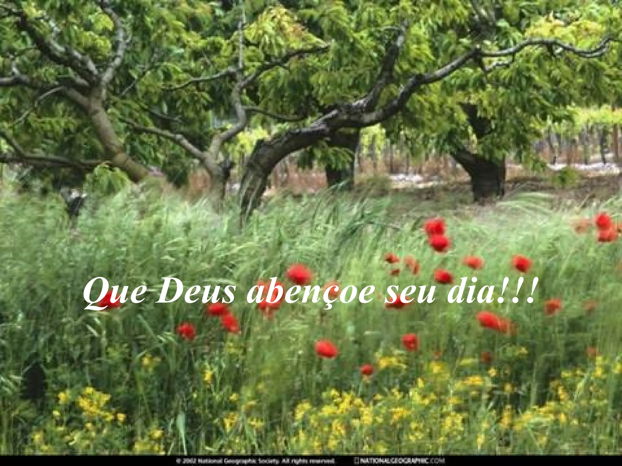 Que Deus abençoe seu dia!!!

 