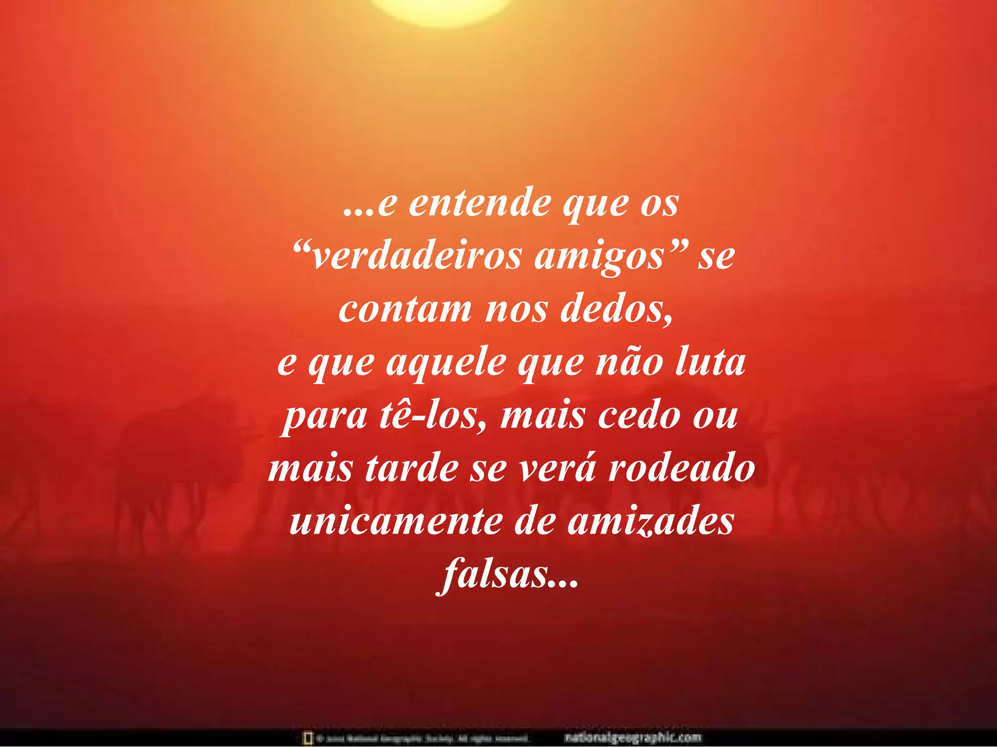 ...e entende que os
“verdadeiros amigos” se
contam nos dedos,
e que aquele que não luta
para tê-los, mais cedo ou
mais tarde se verá rodeado
unicamente de amizades
falsas...

 